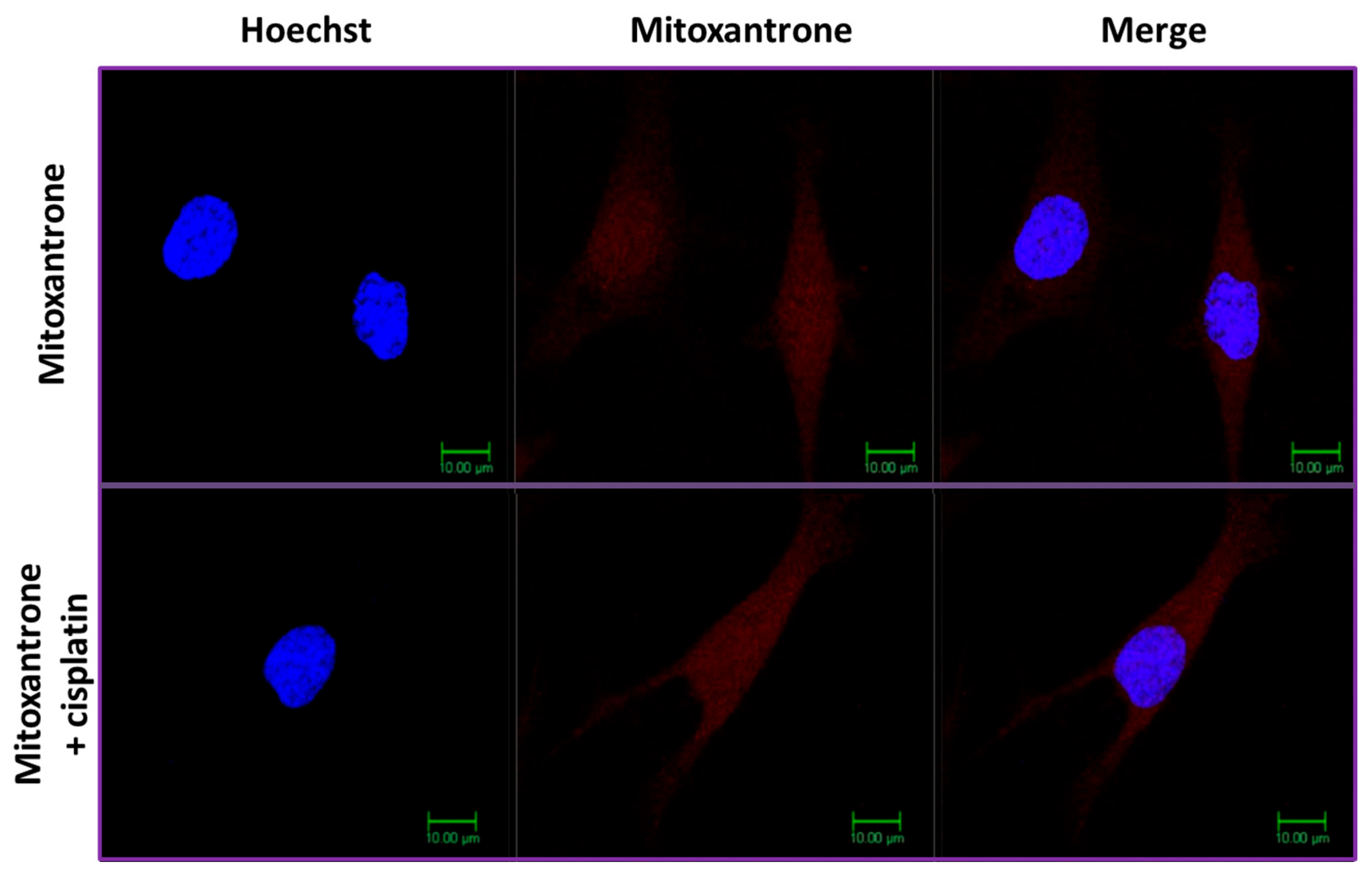 Molecules 29 04127 g011