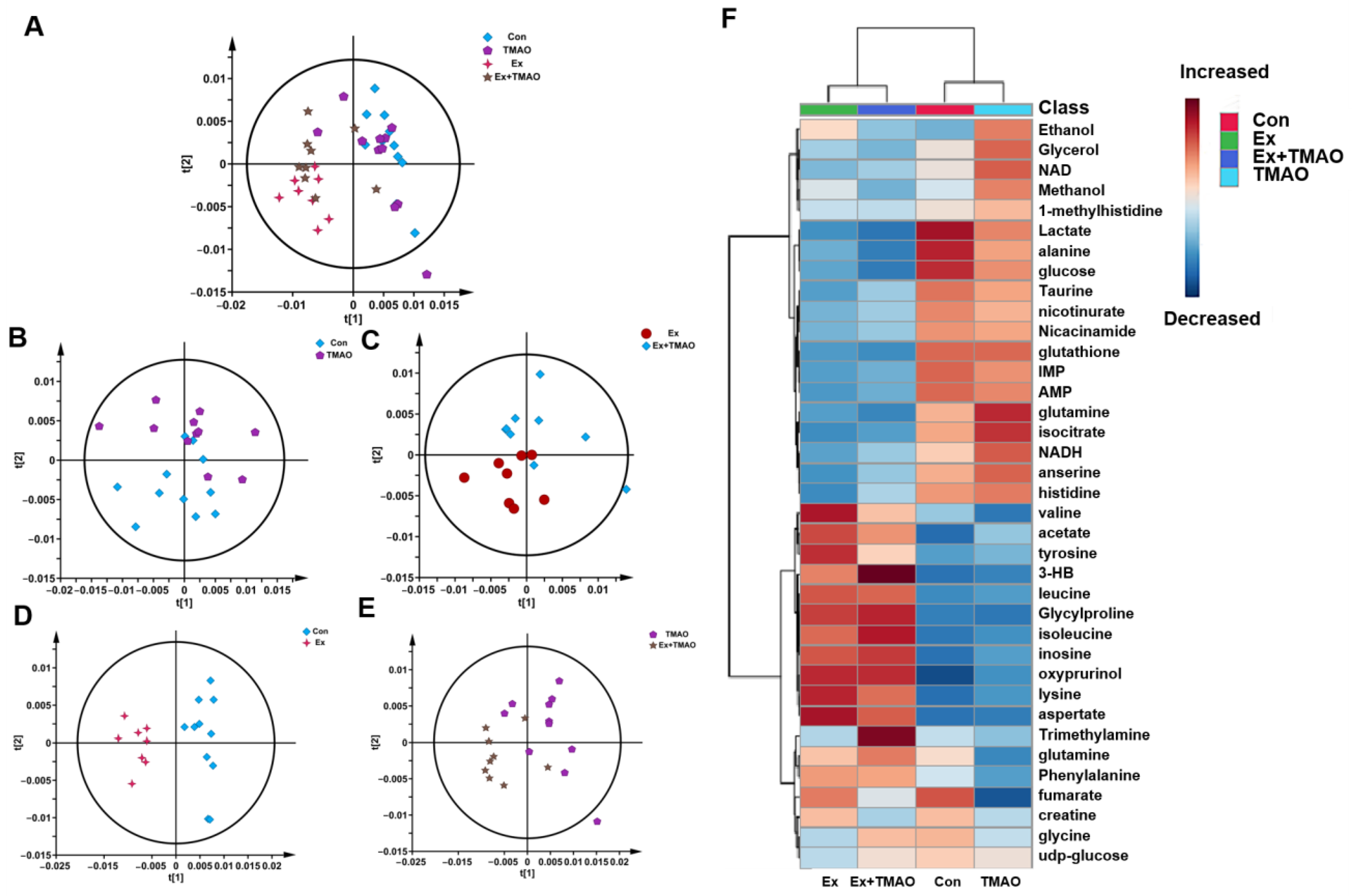 Molecules 29 04128 g003