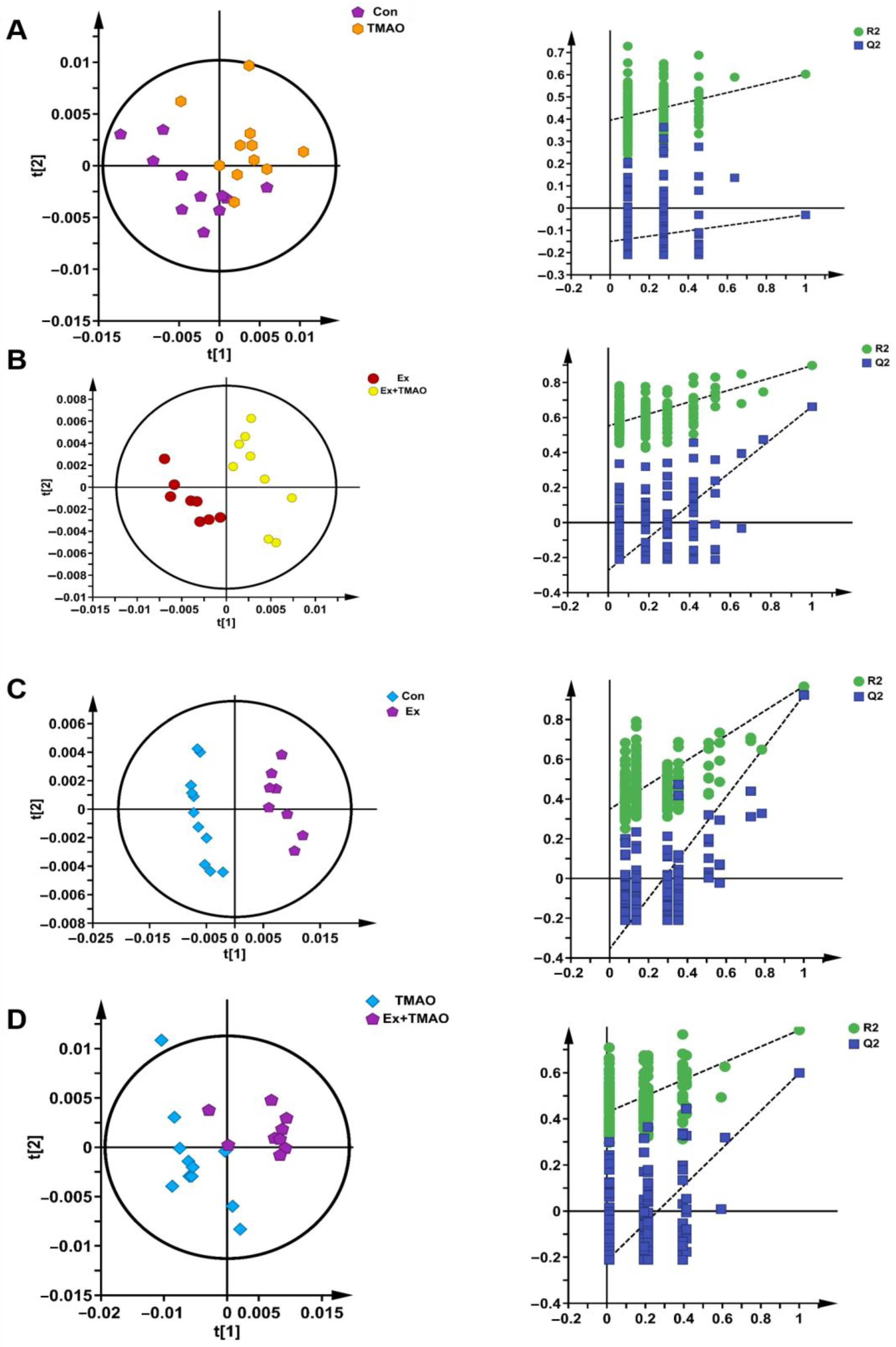 Molecules 29 04128 g004