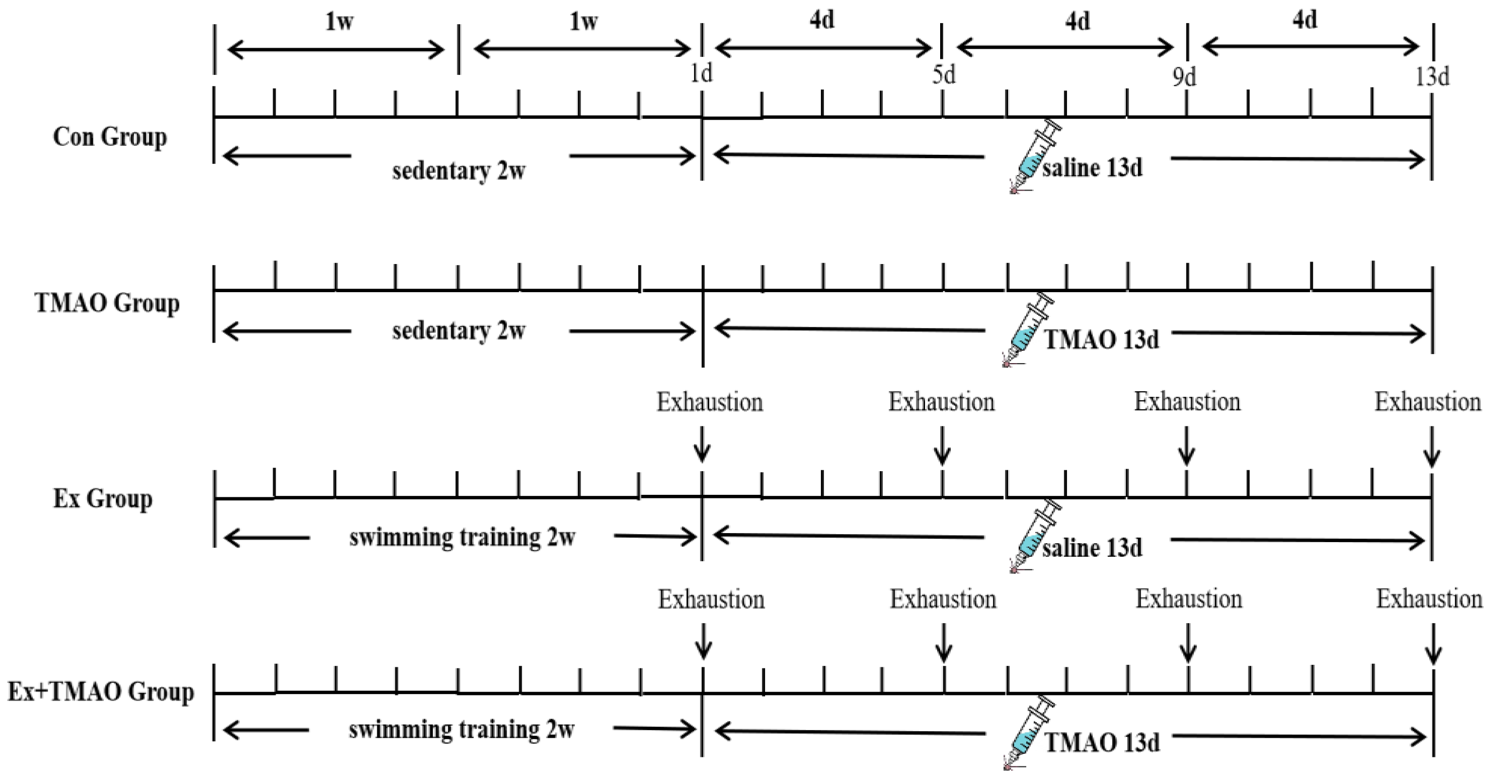 Molecules 29 04128 g007