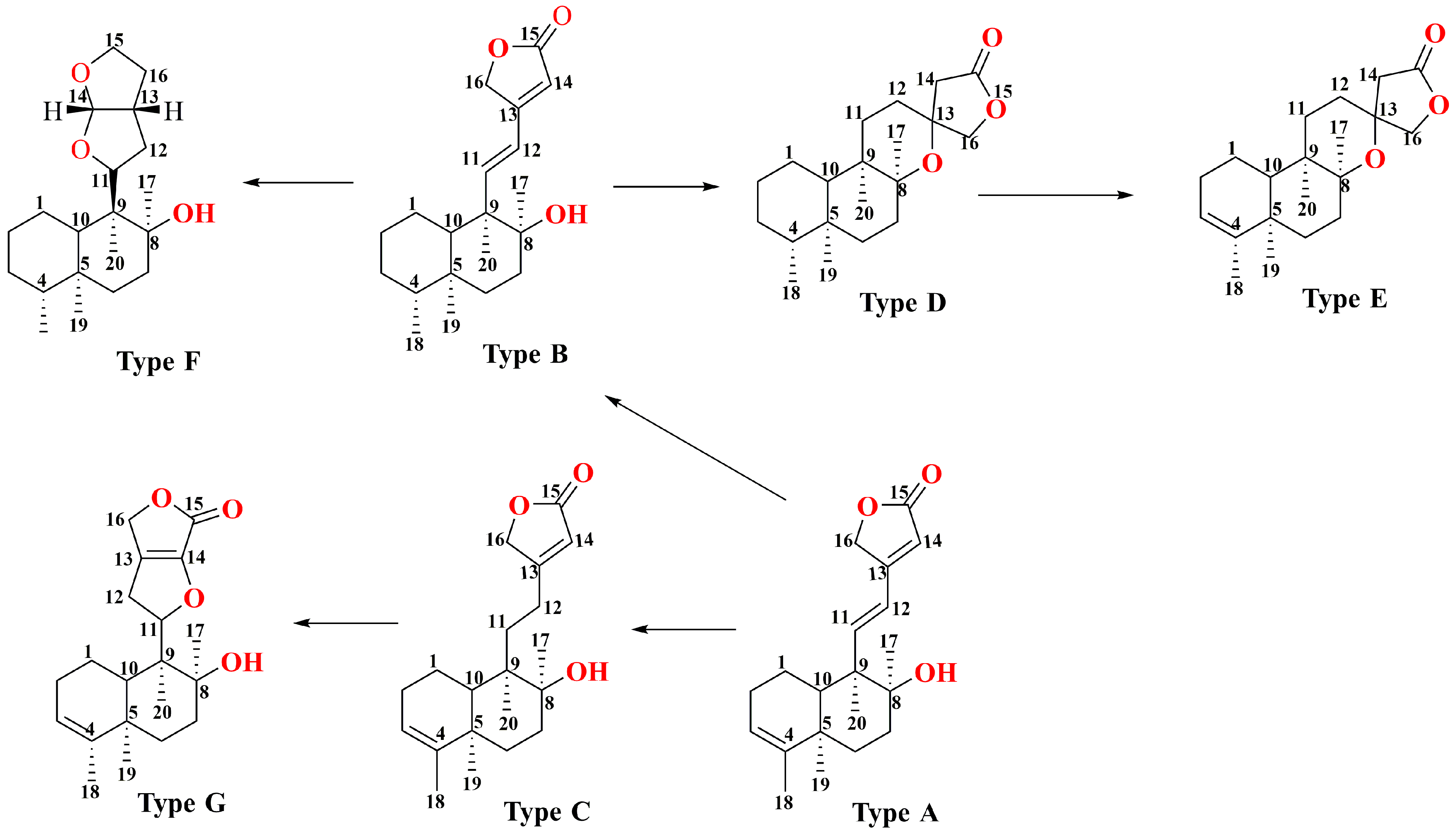 Molecules 29 04134 g004 Molecules 29 04134 g004