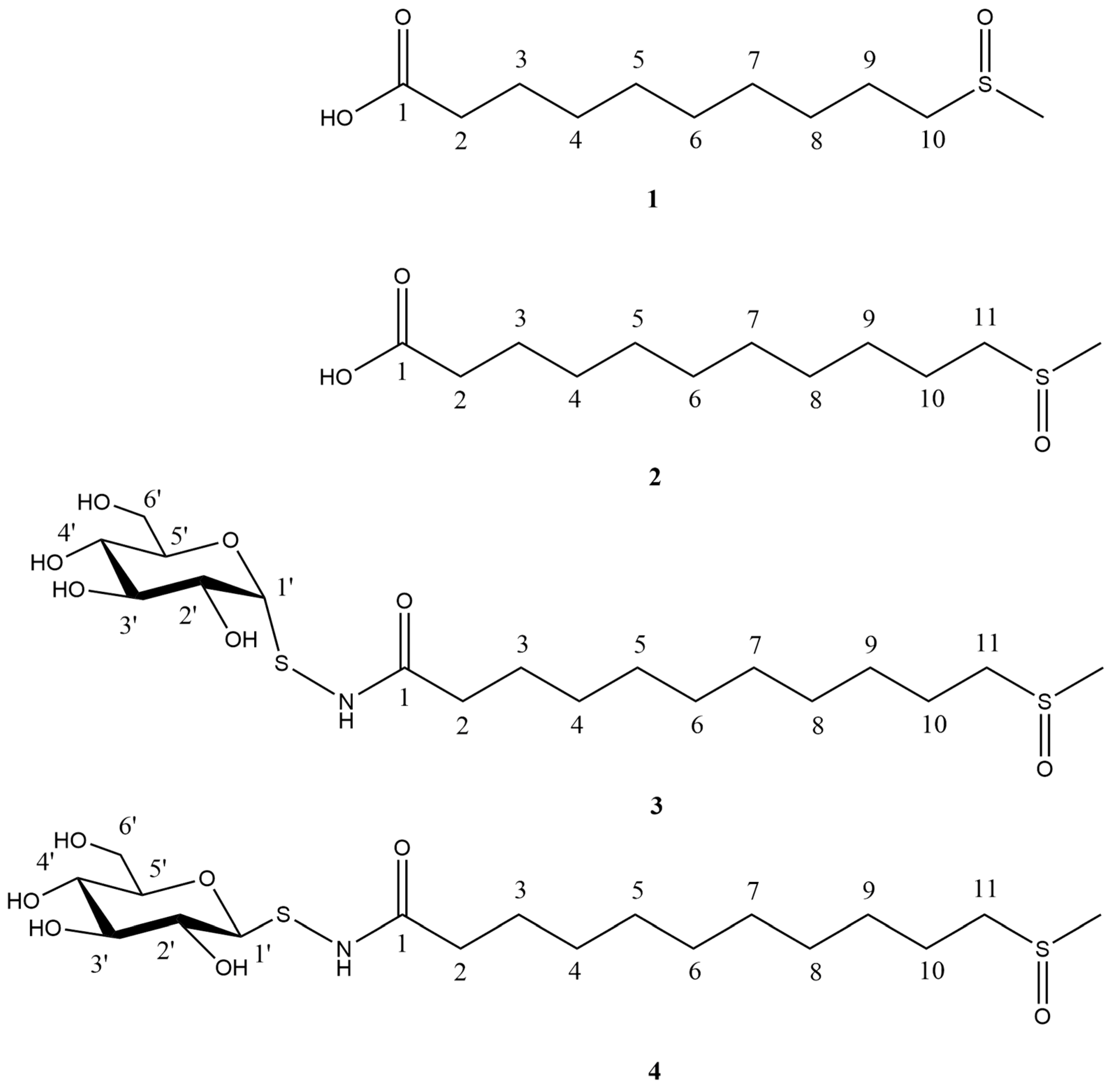 Molecules 29 04145 g001