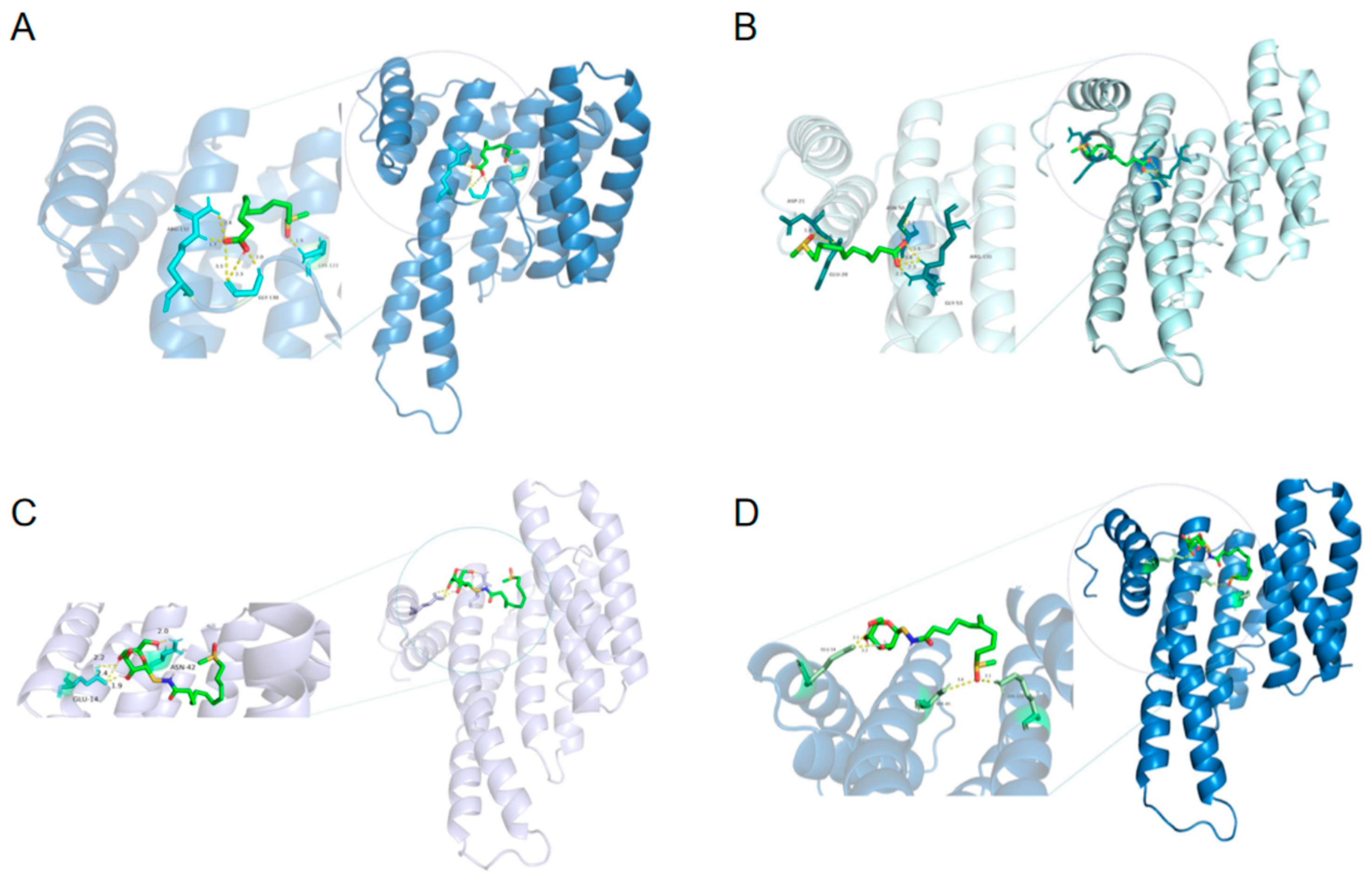 Molecules 29 04145 g006