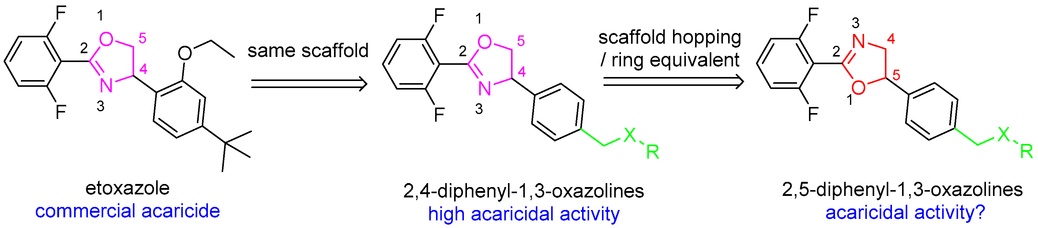Molecules 29 04149 g001