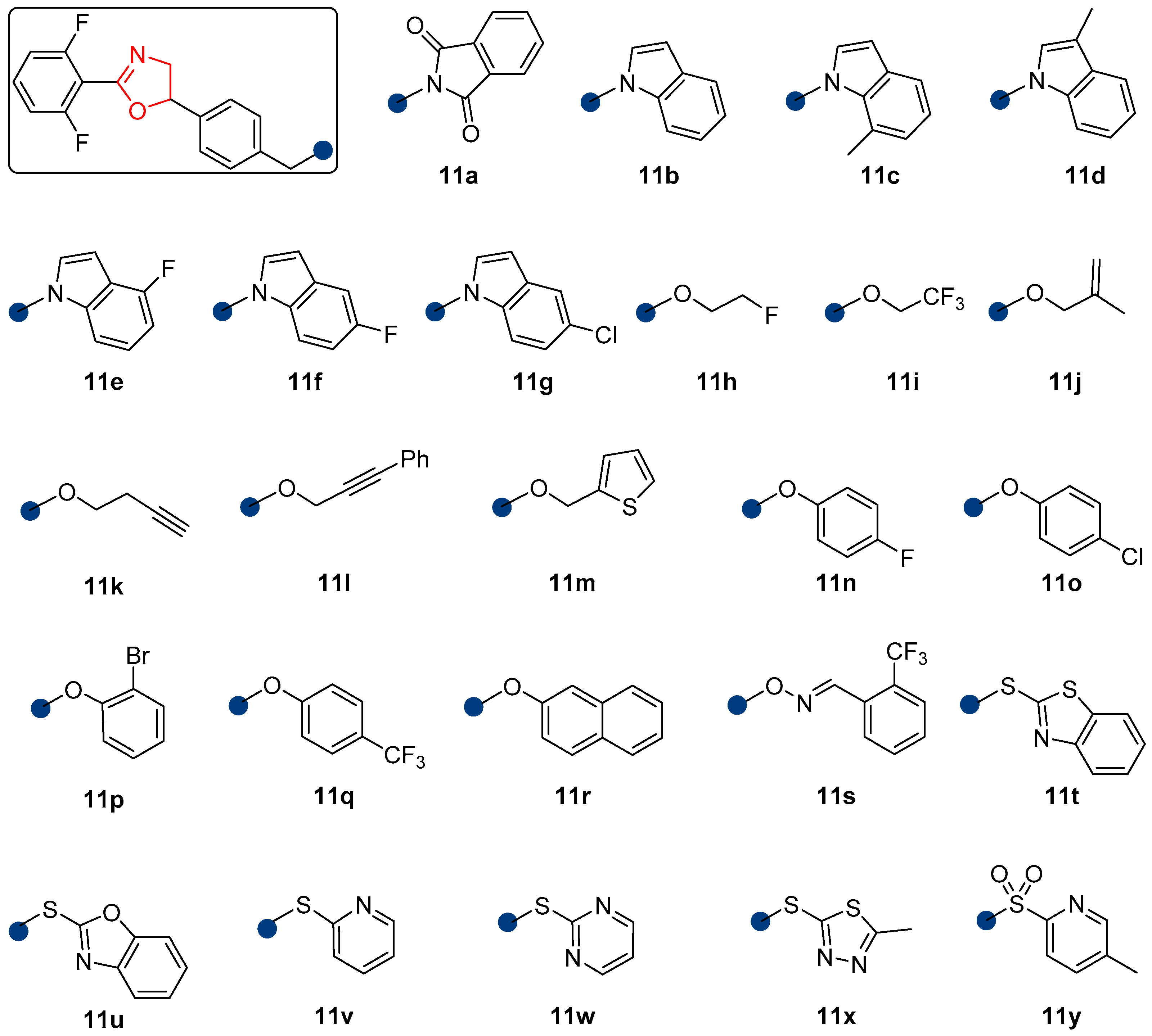 Molecules 29 04149 g002