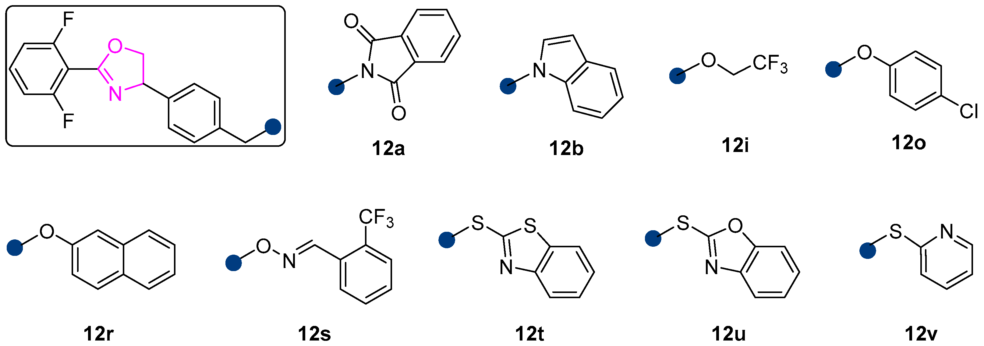 Molecules 29 04149 g003