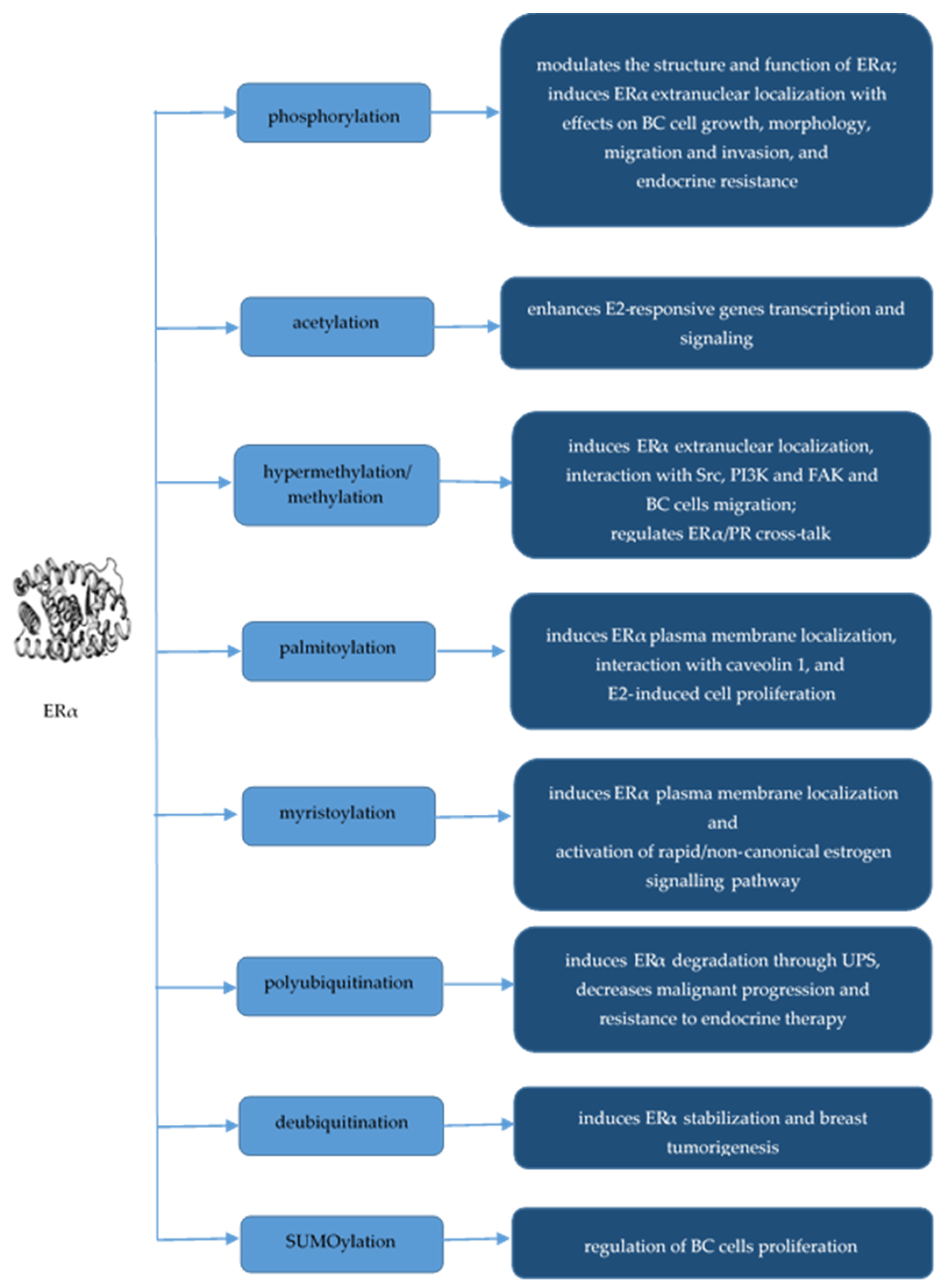 Molecules 29 04156 g001