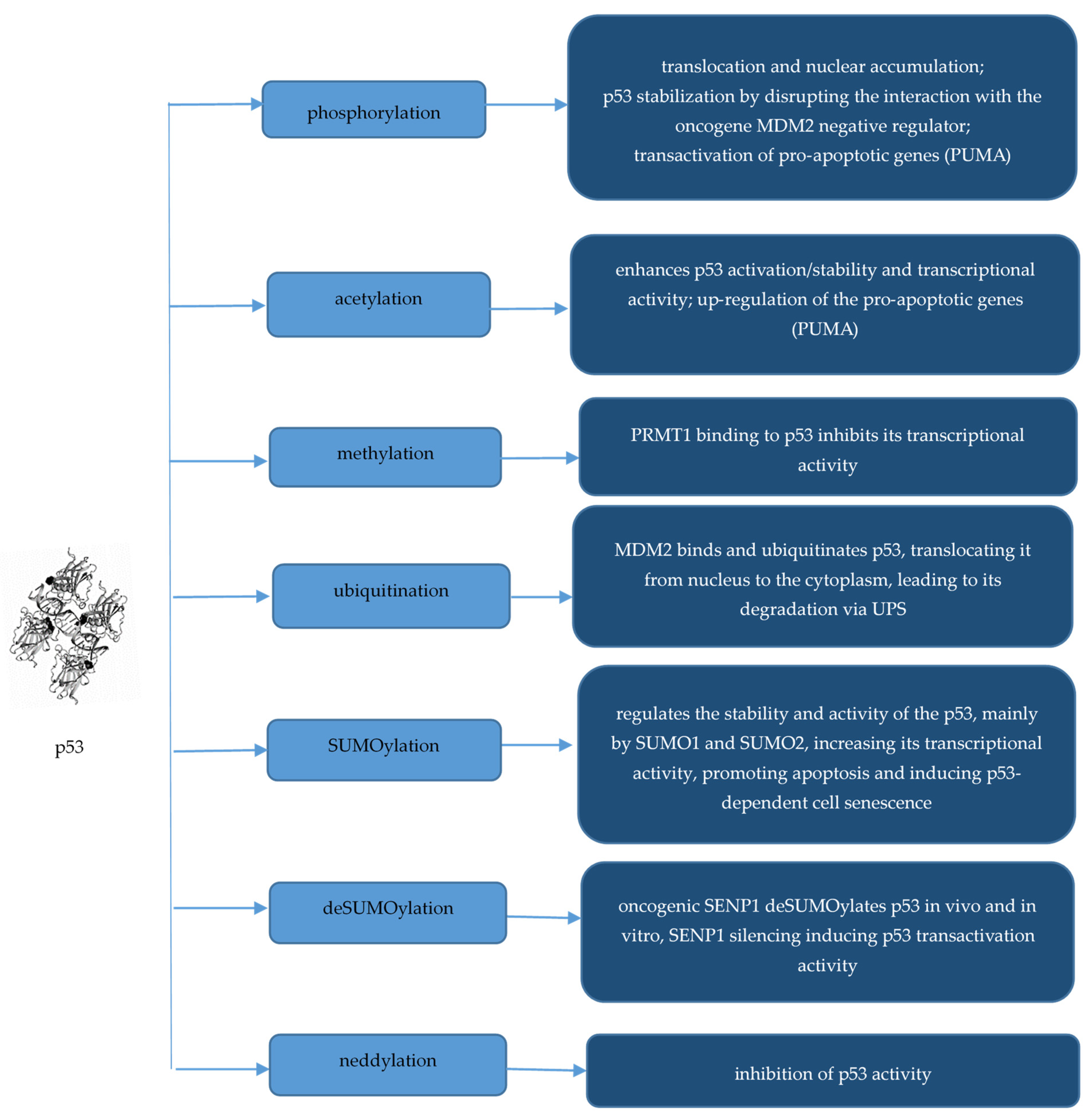 Molecules 29 04156 g002