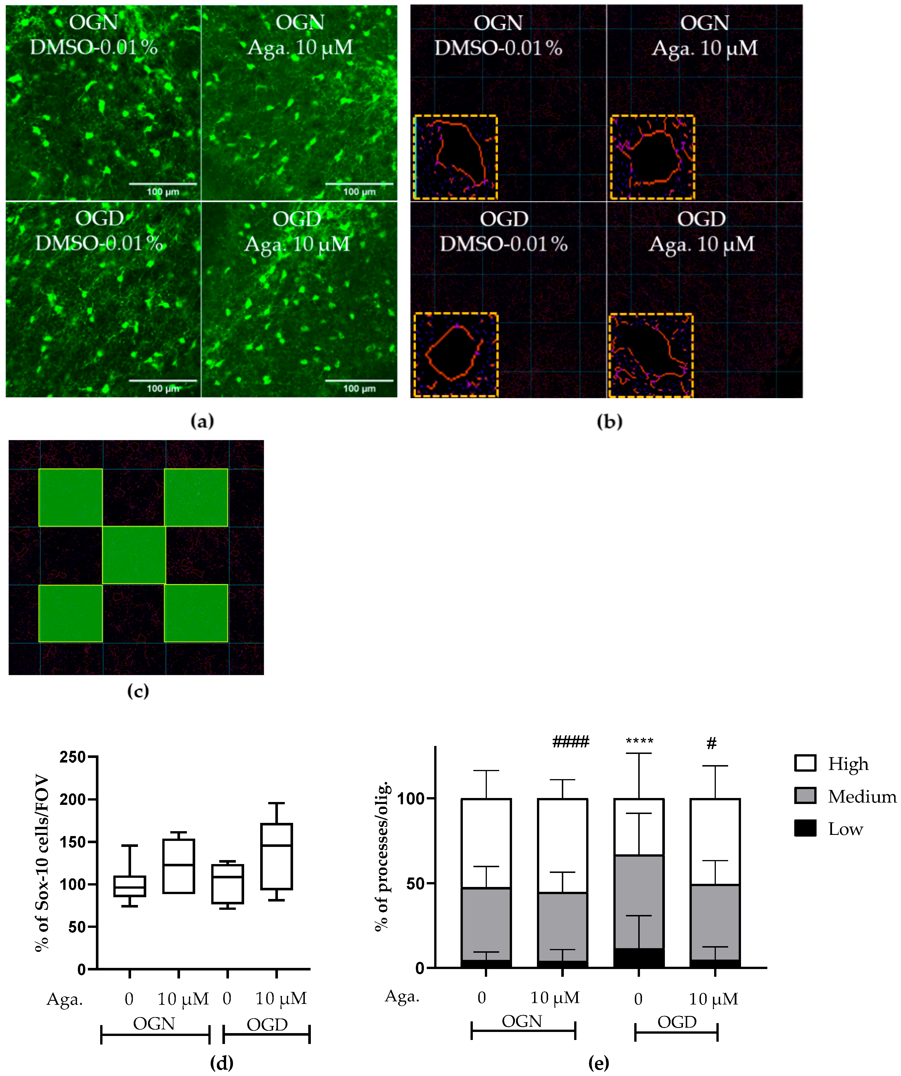 Molecules 29 04159 g001
