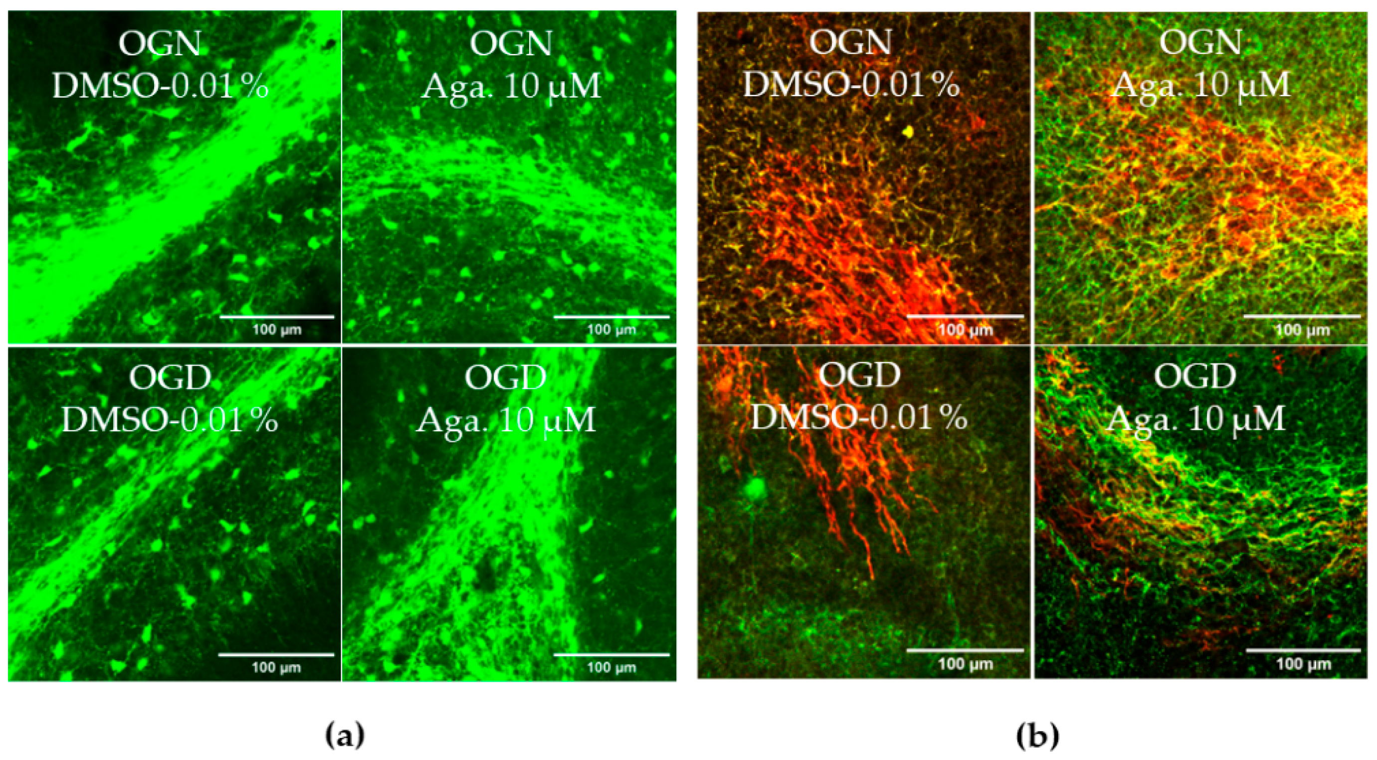 Molecules 29 04159 g002a
