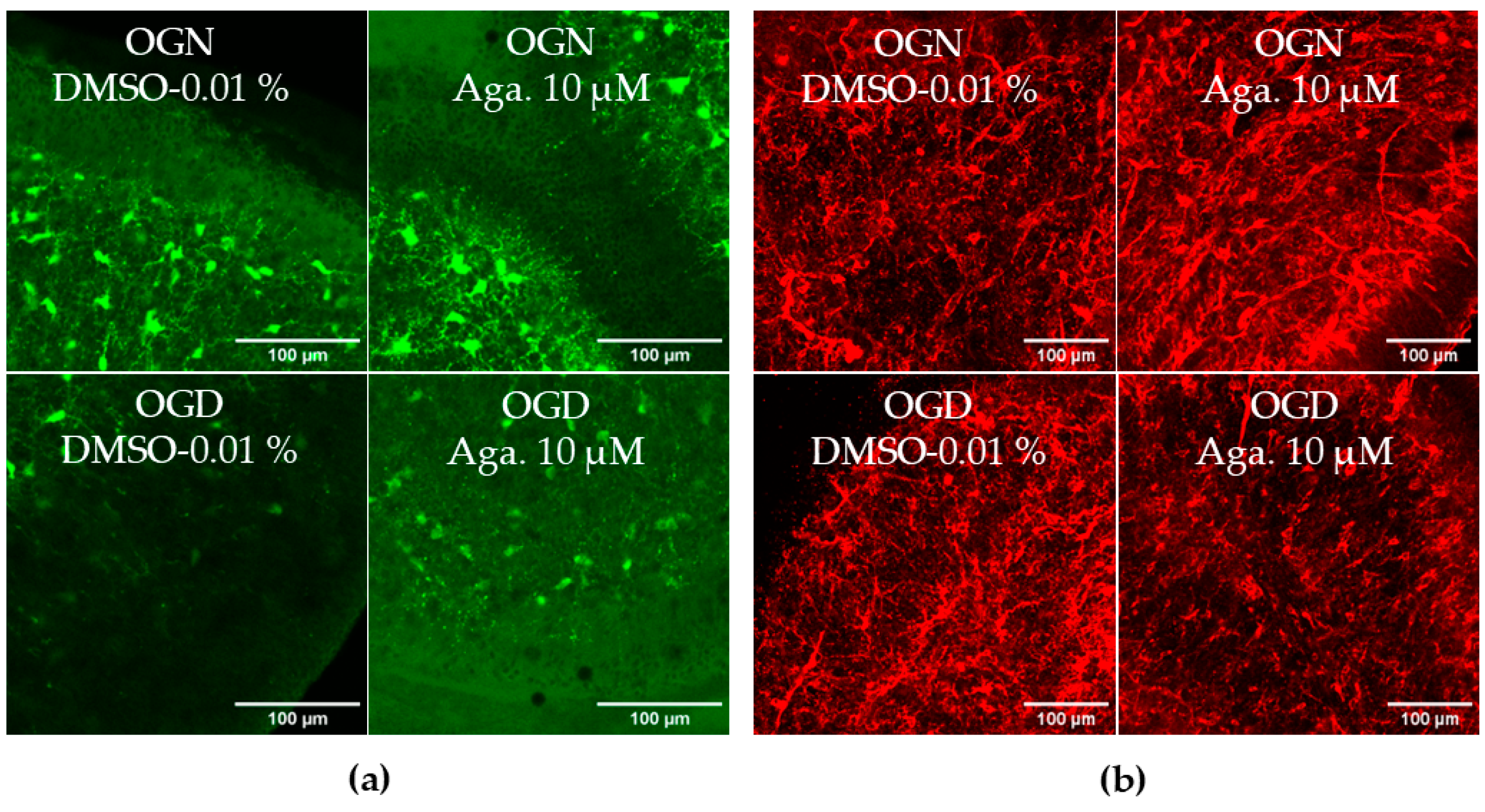 Molecules 29 04159 g003a