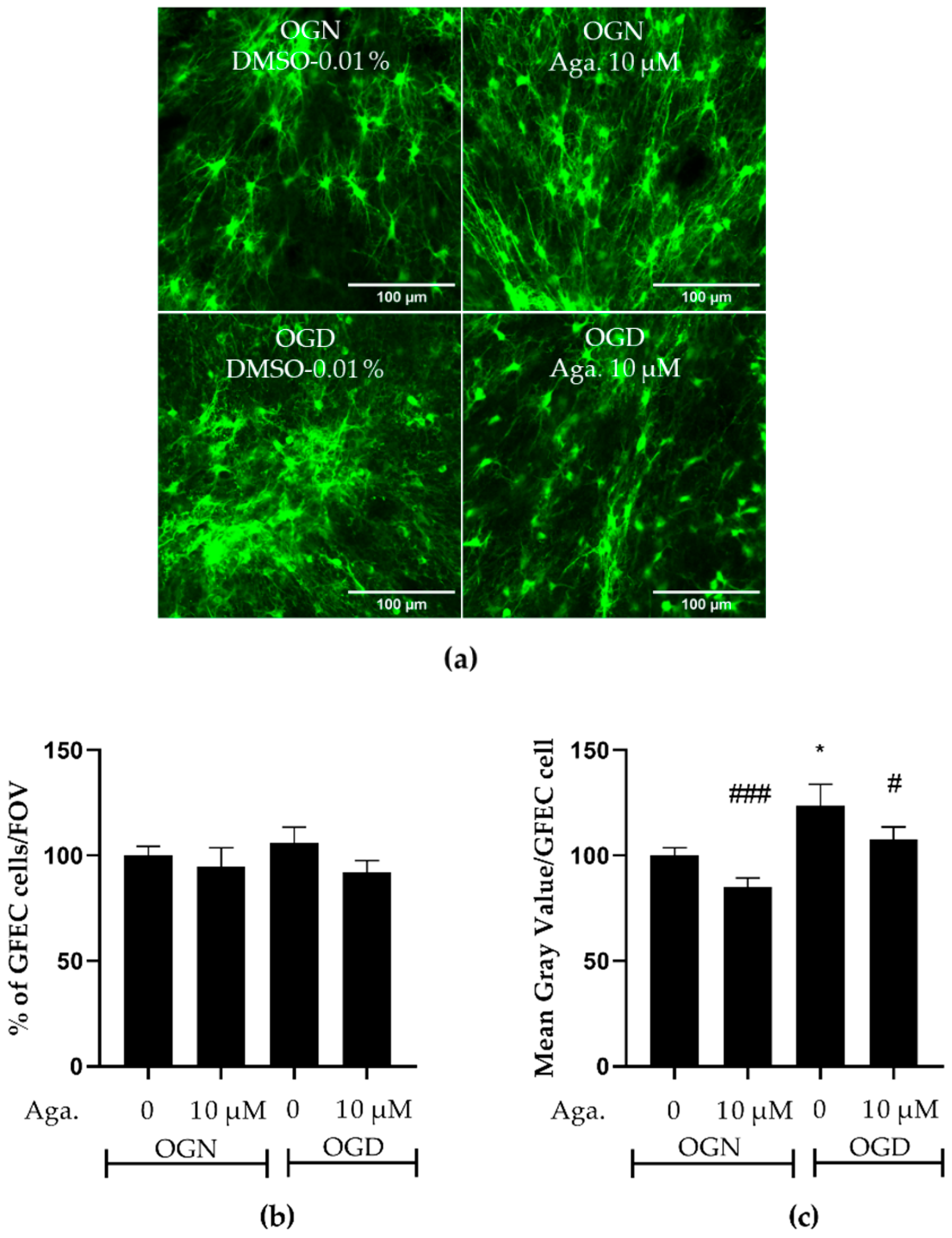 Molecules 29 04159 g004