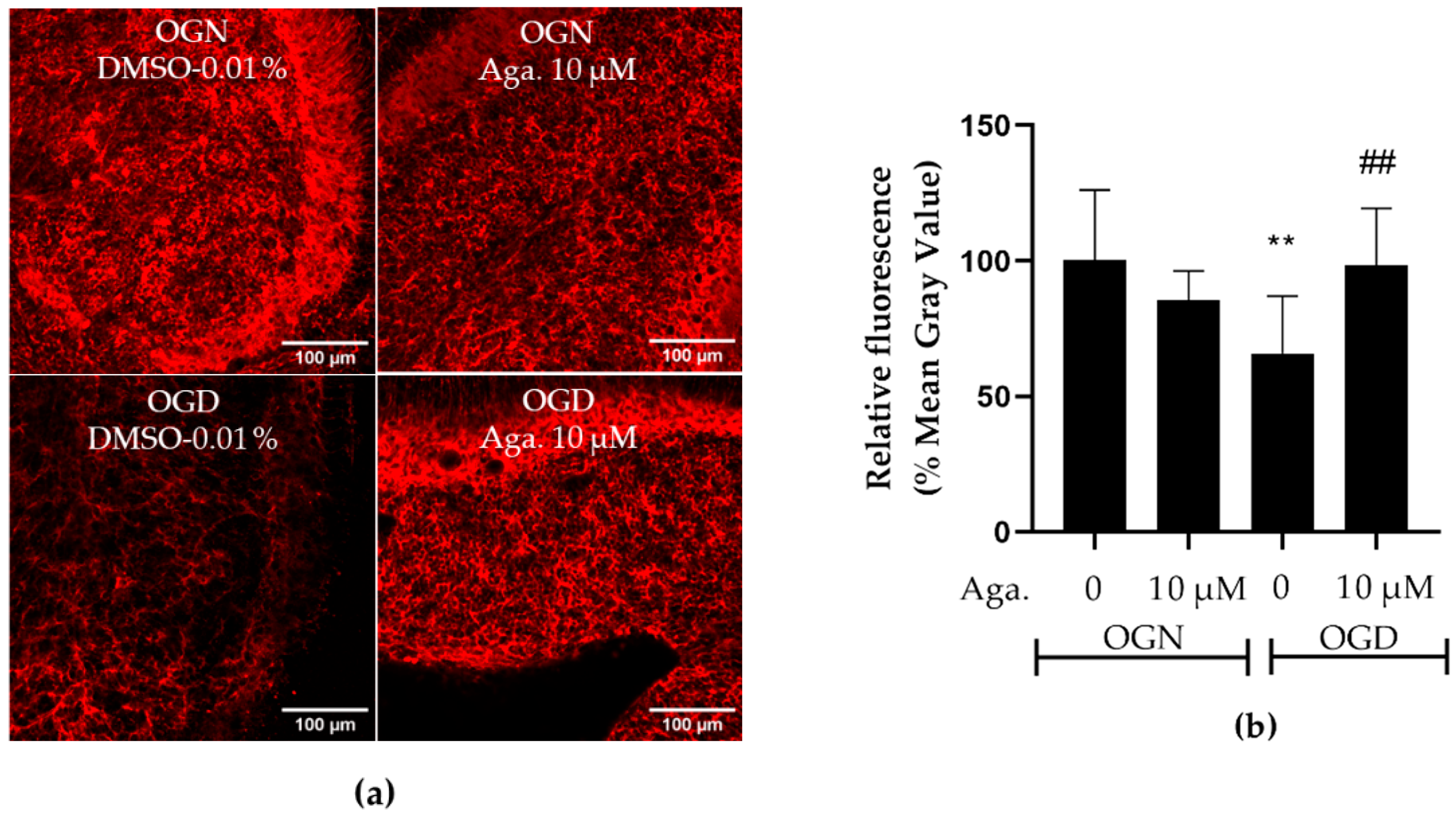 Molecules 29 04159 g005
