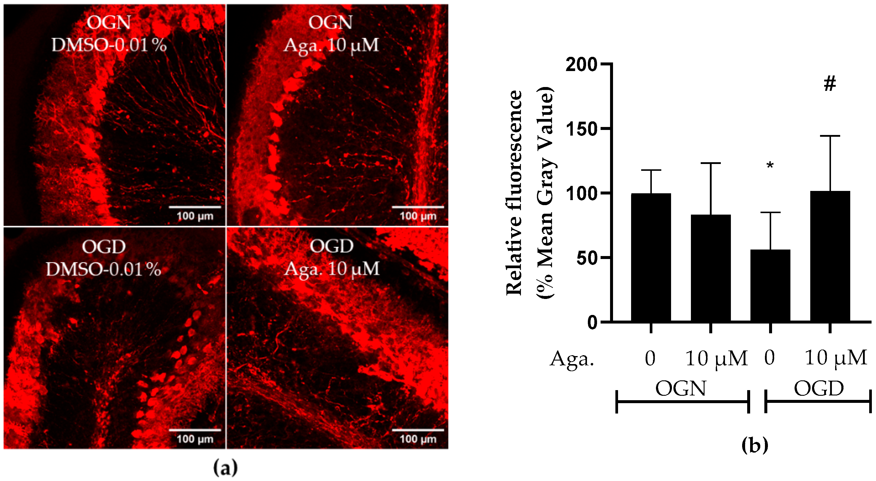 Molecules 29 04159 g006