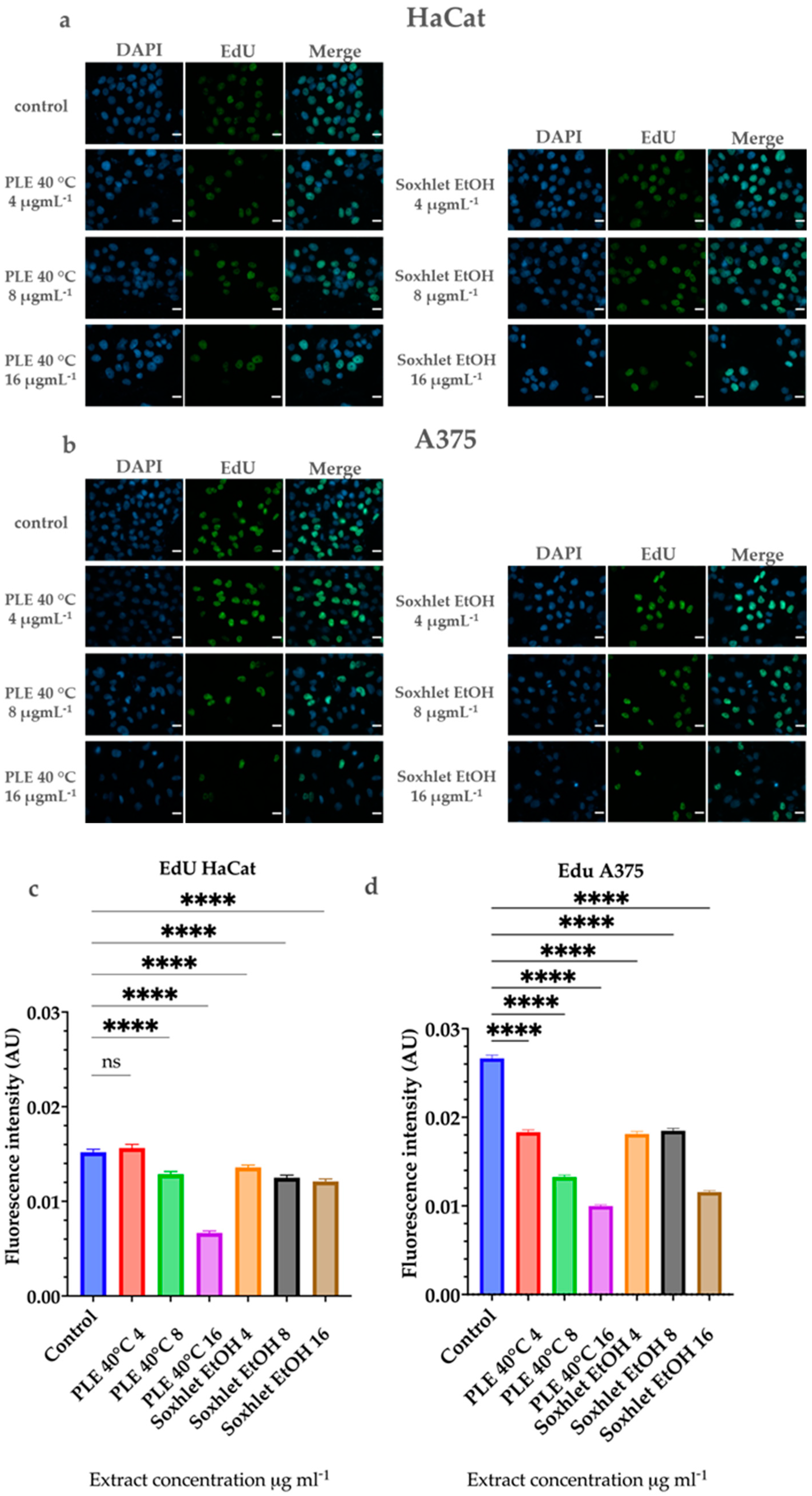 Molecules 29 04161 g007