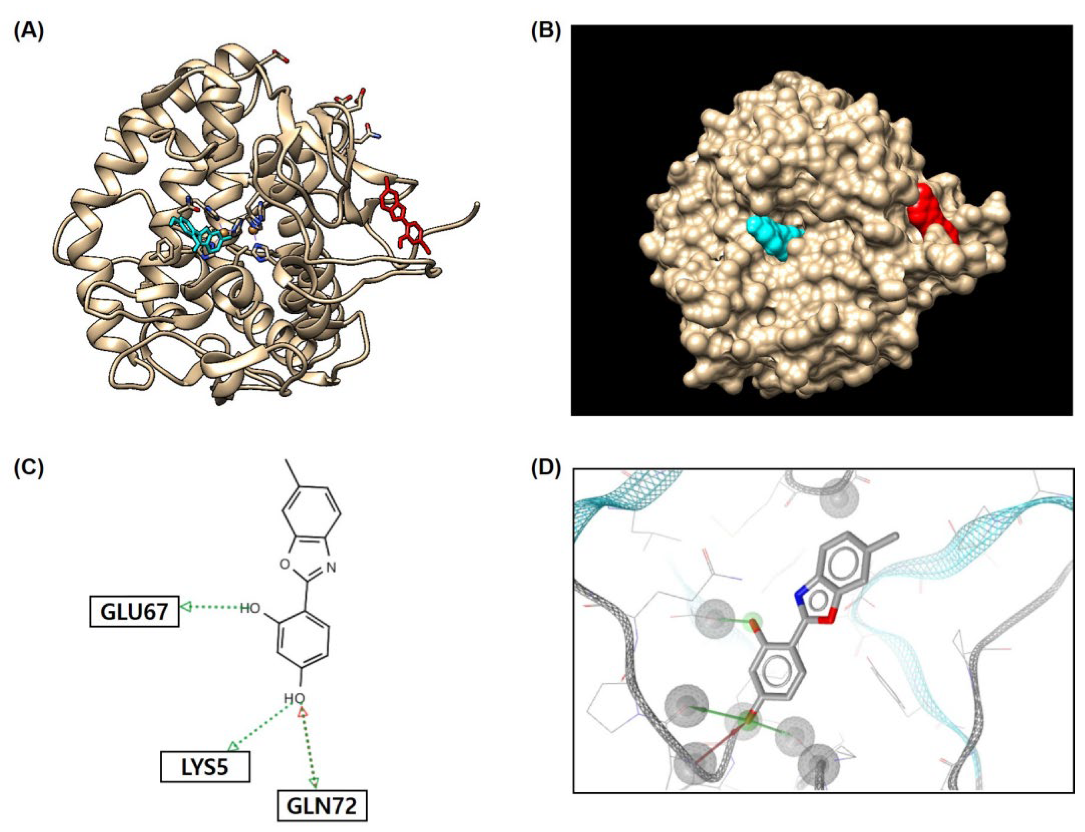 Molecules 29 04162 g007