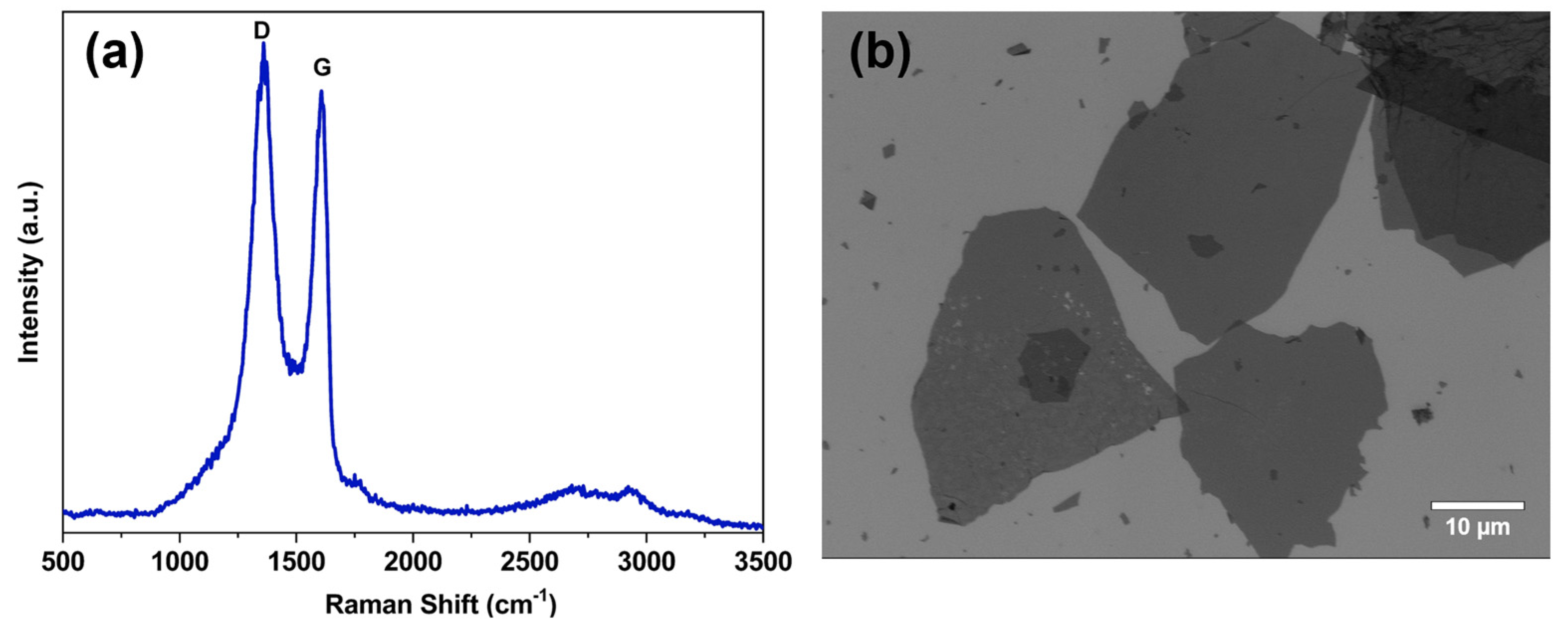 Molecules 29 04163 g001
