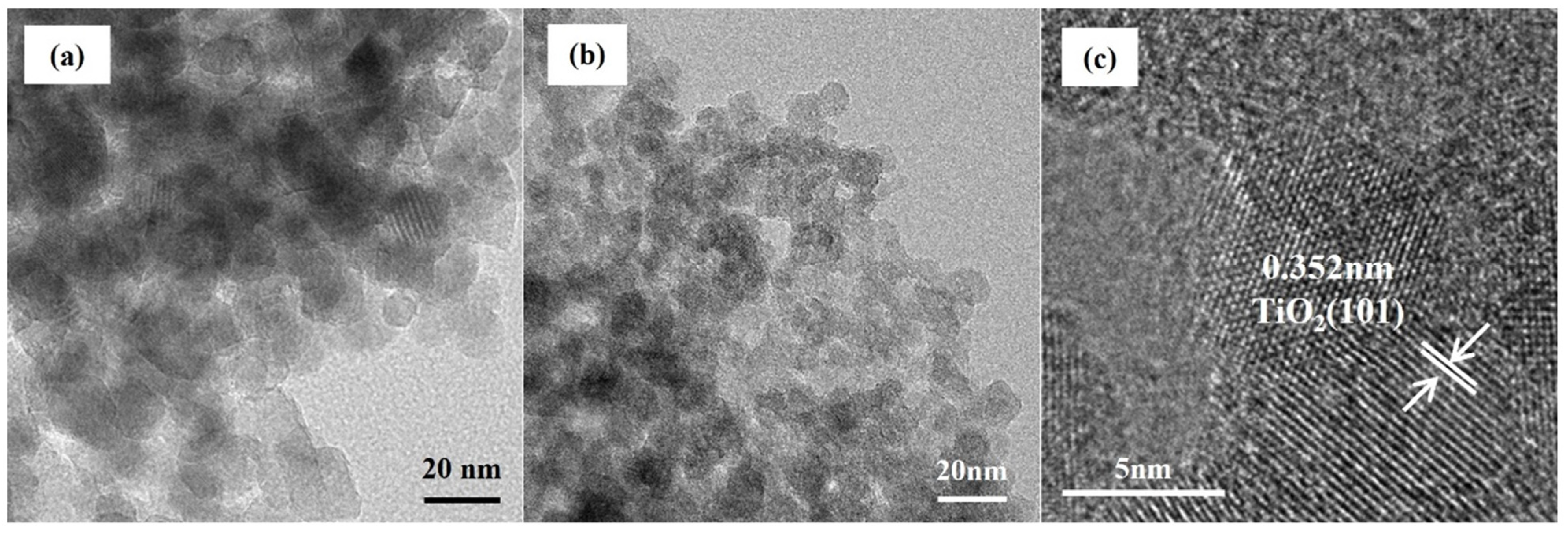 Molecules 29 04164 g004