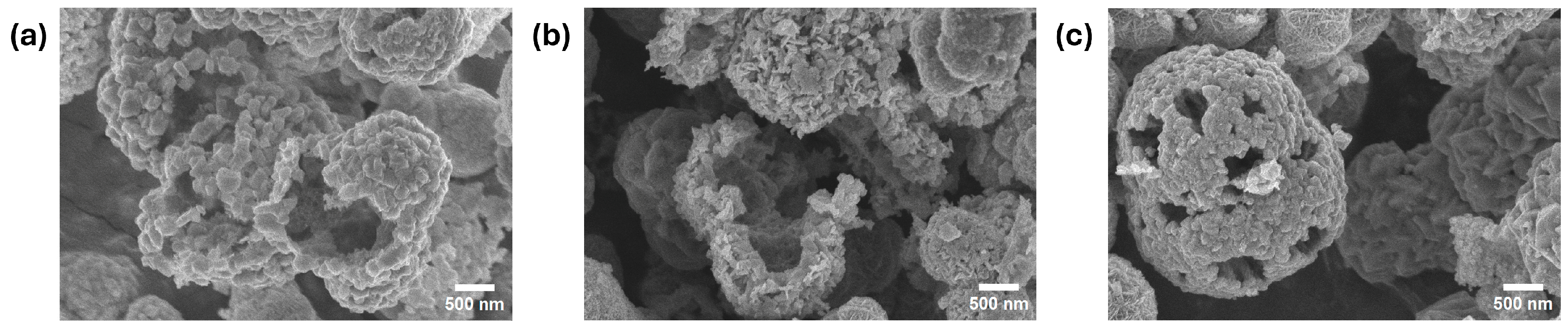 Molecules 29 04167 g008 Molecules 29 04167 g008