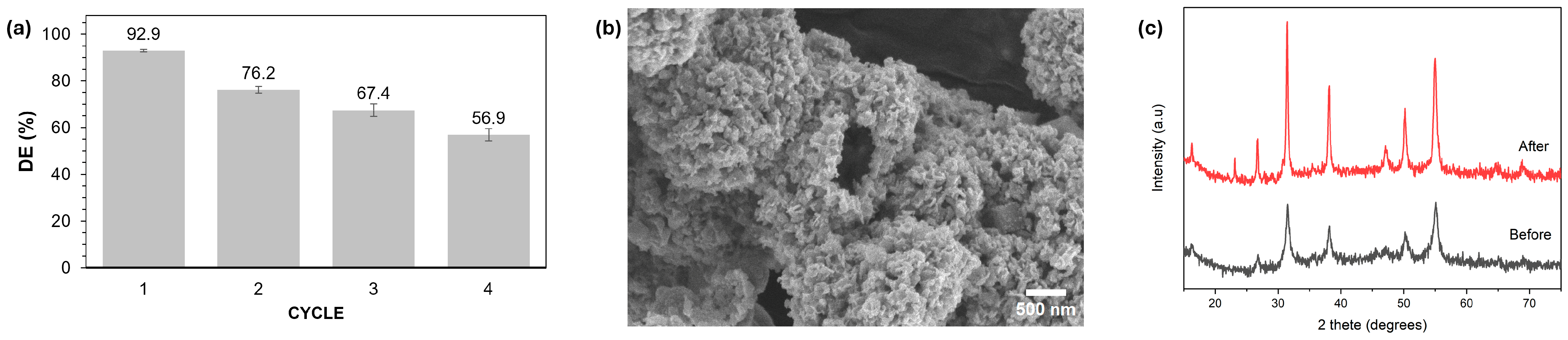 Molecules 29 04167 g010 Molecules 29 04167 g010
