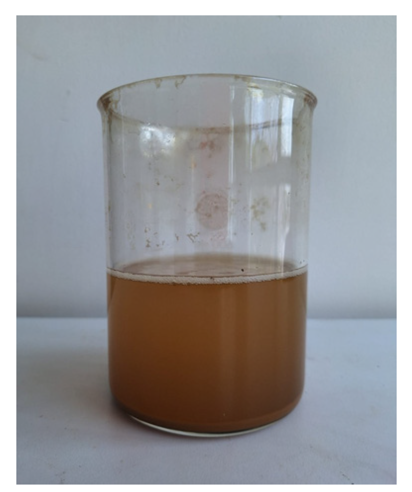 Molecules 29 04168 g002