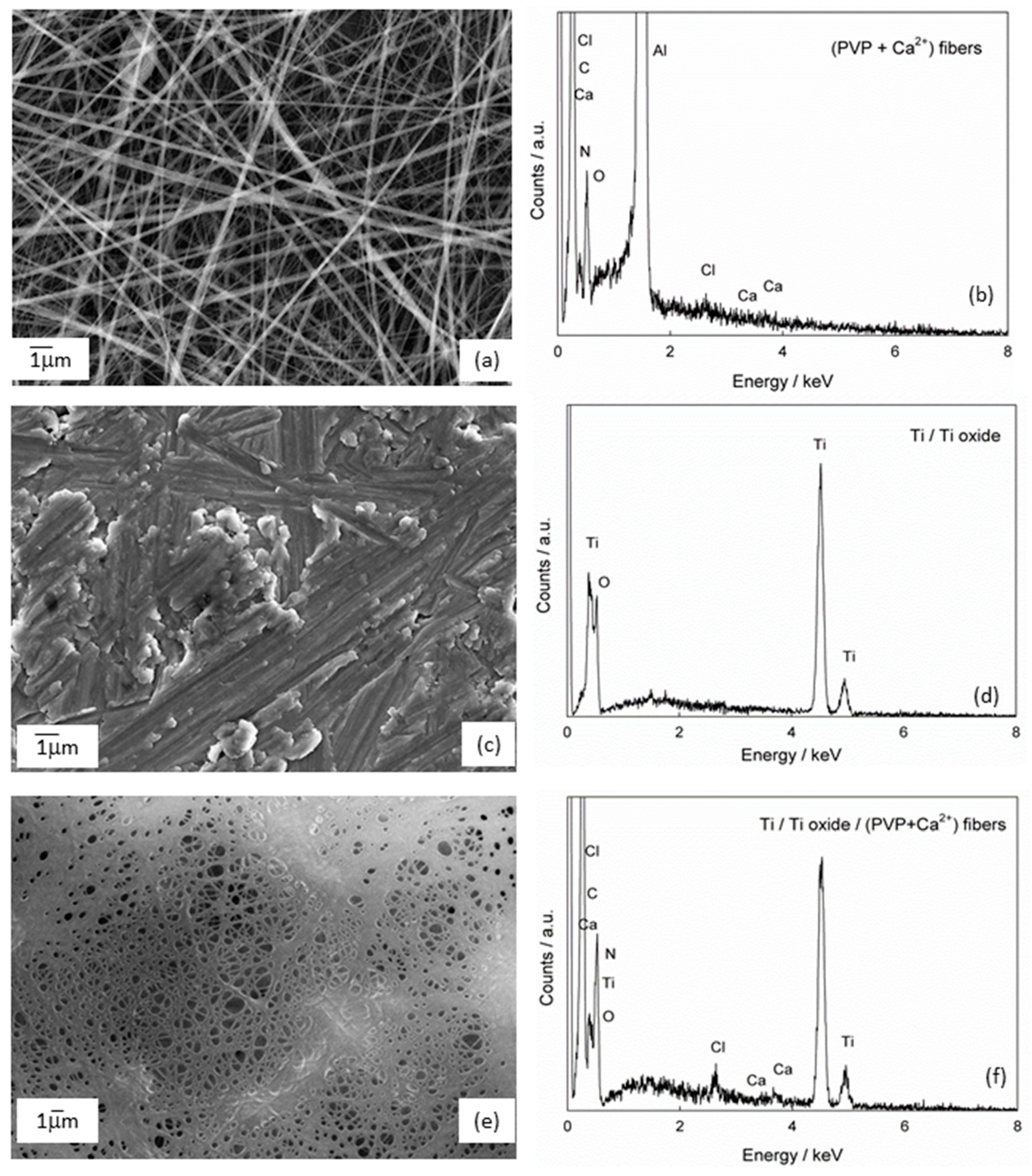 Molecules 29 04181 g002