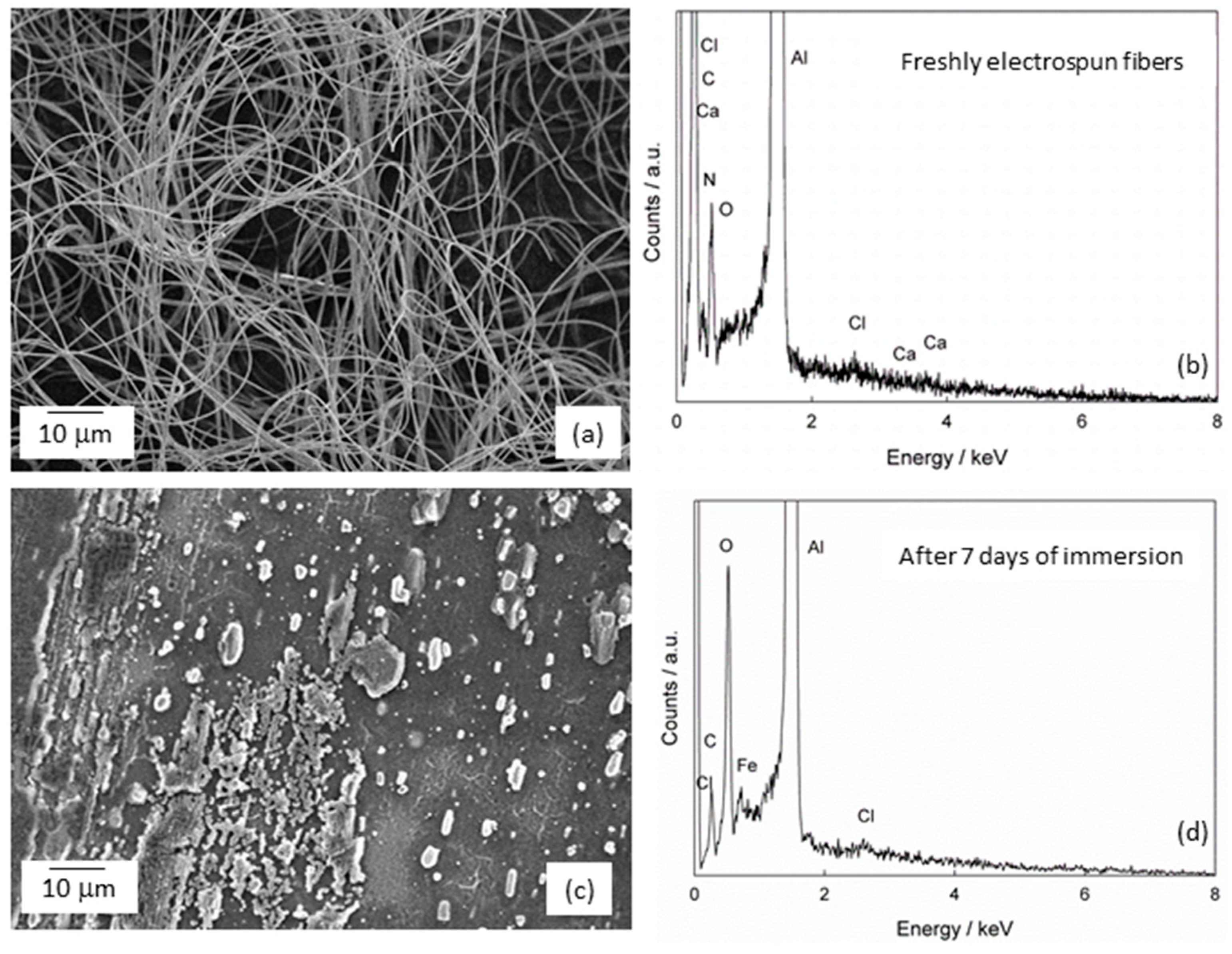 Molecules 29 04181 g006