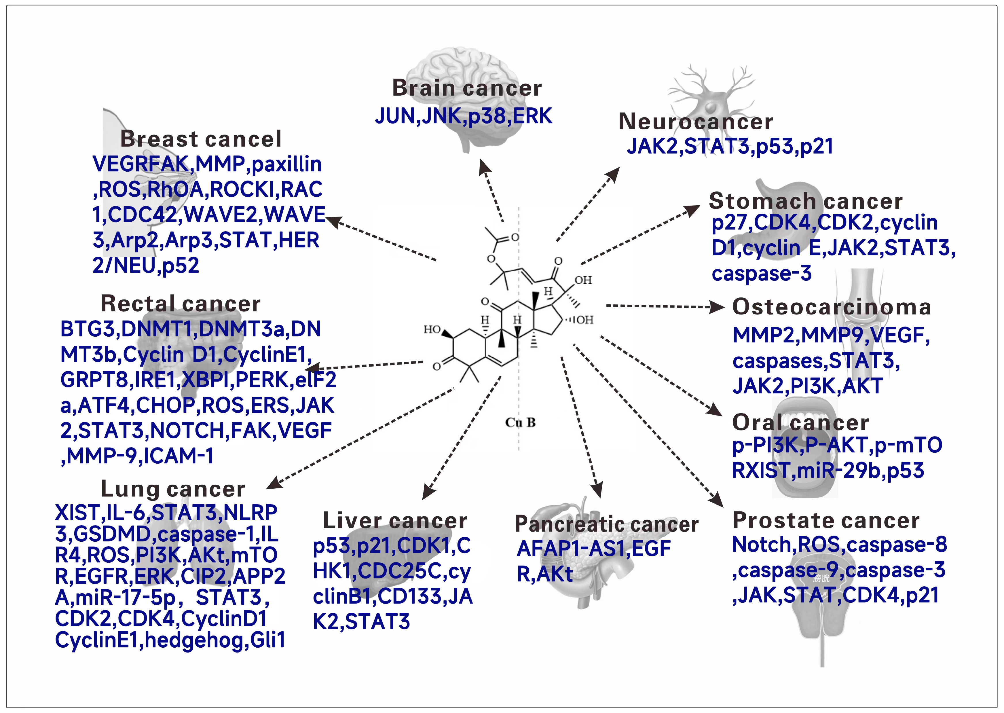 Molecules 29 04193 g005