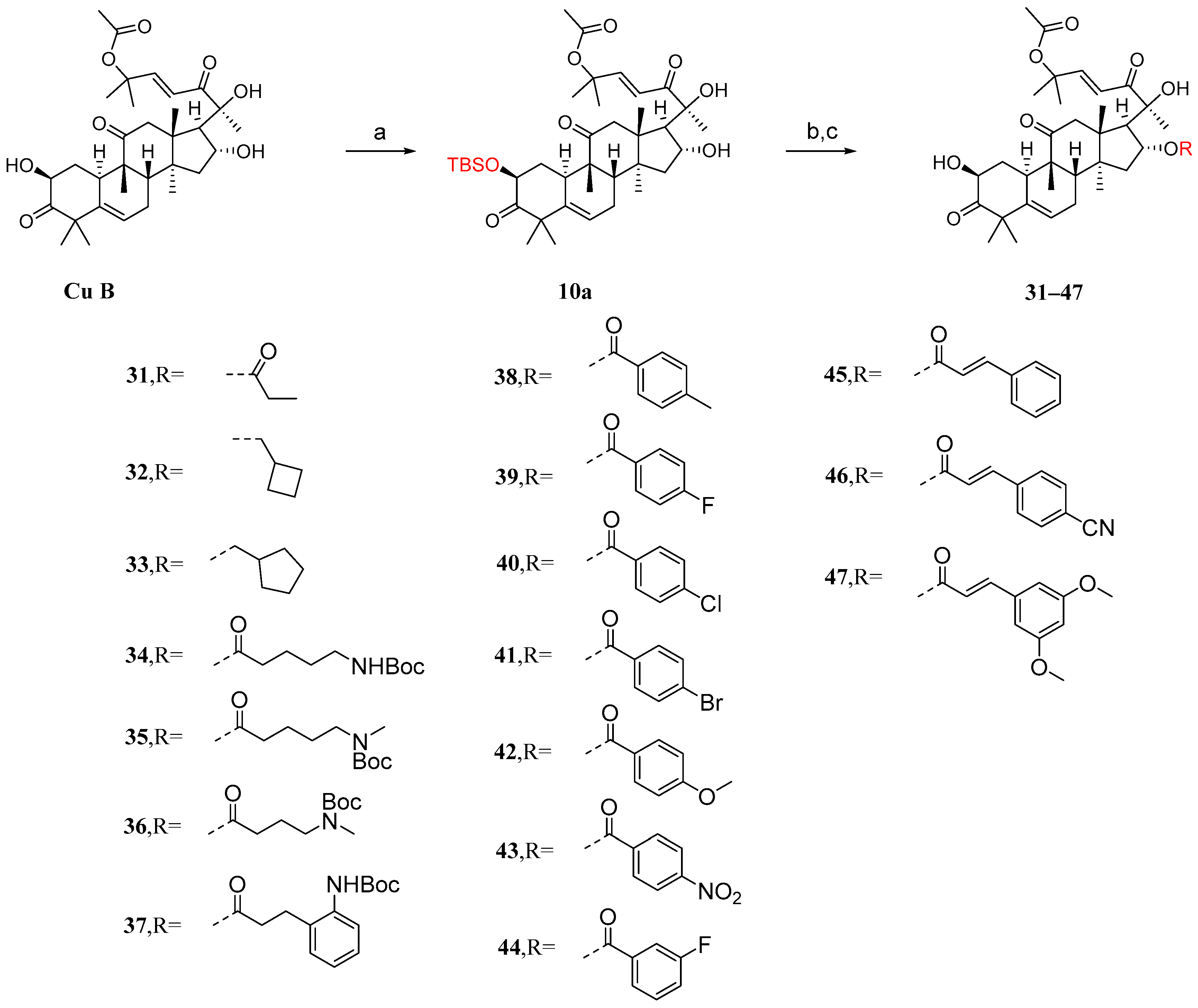 Molecules 29 04193 g011