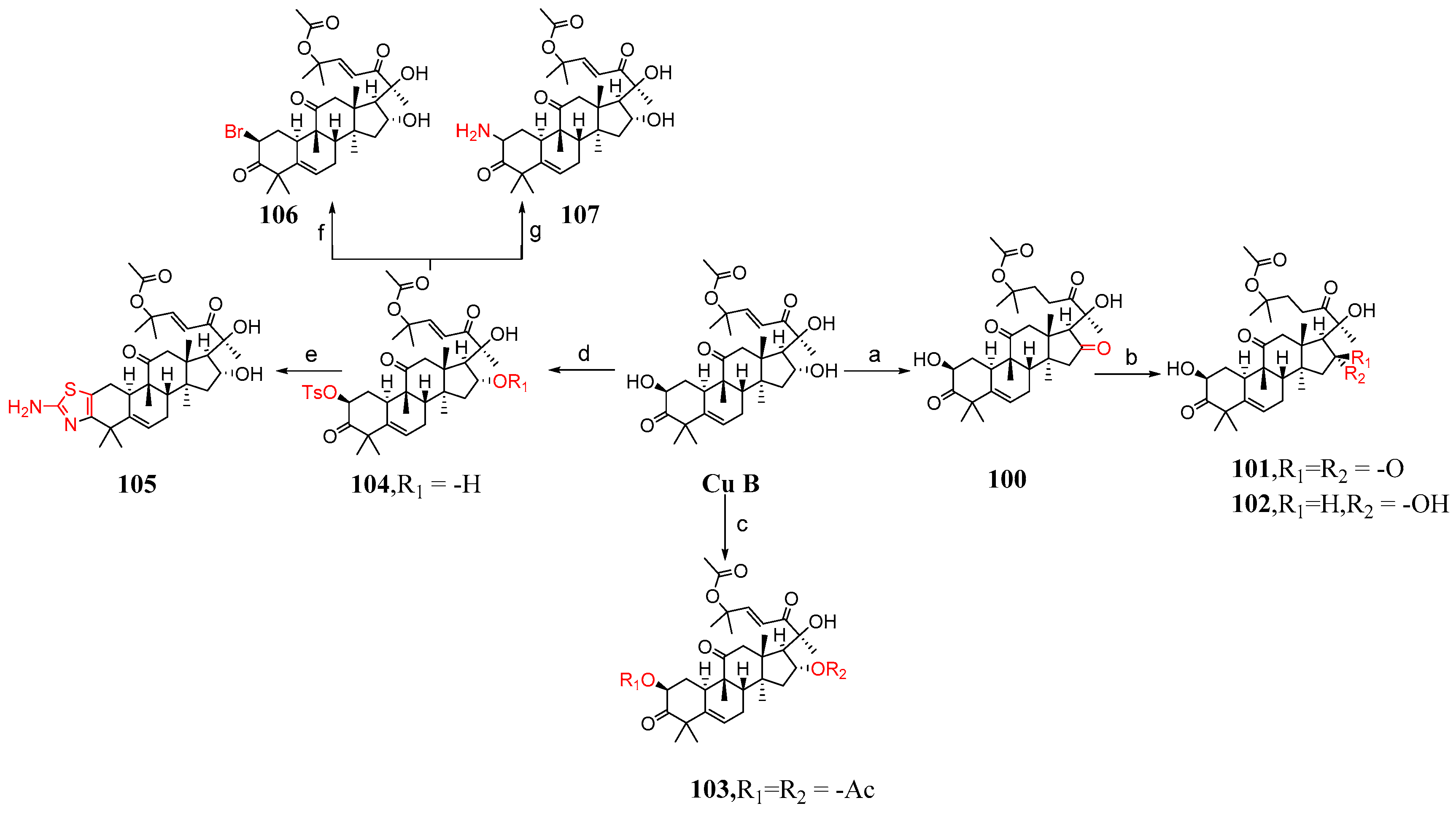 Molecules 29 04193 g015