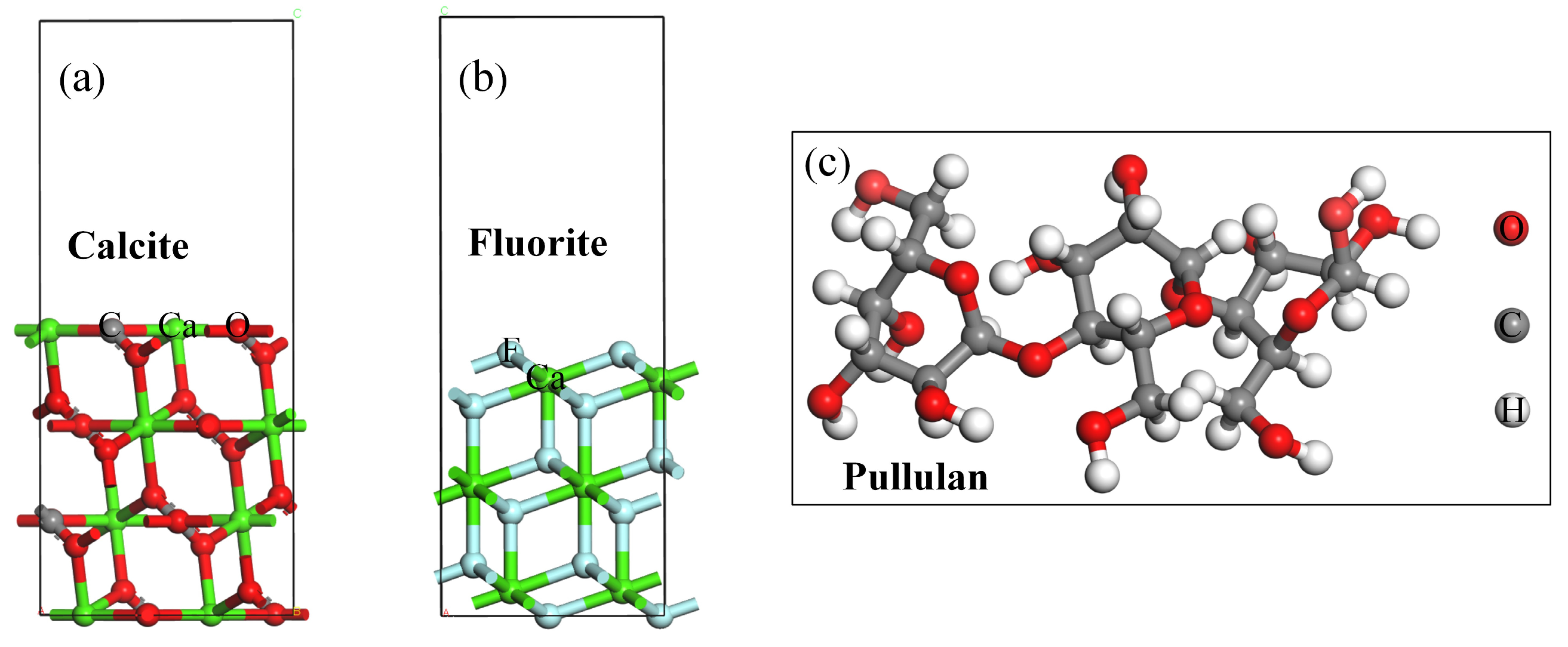 Molecules 29 04194 g004 Molecules 29 04194 g004