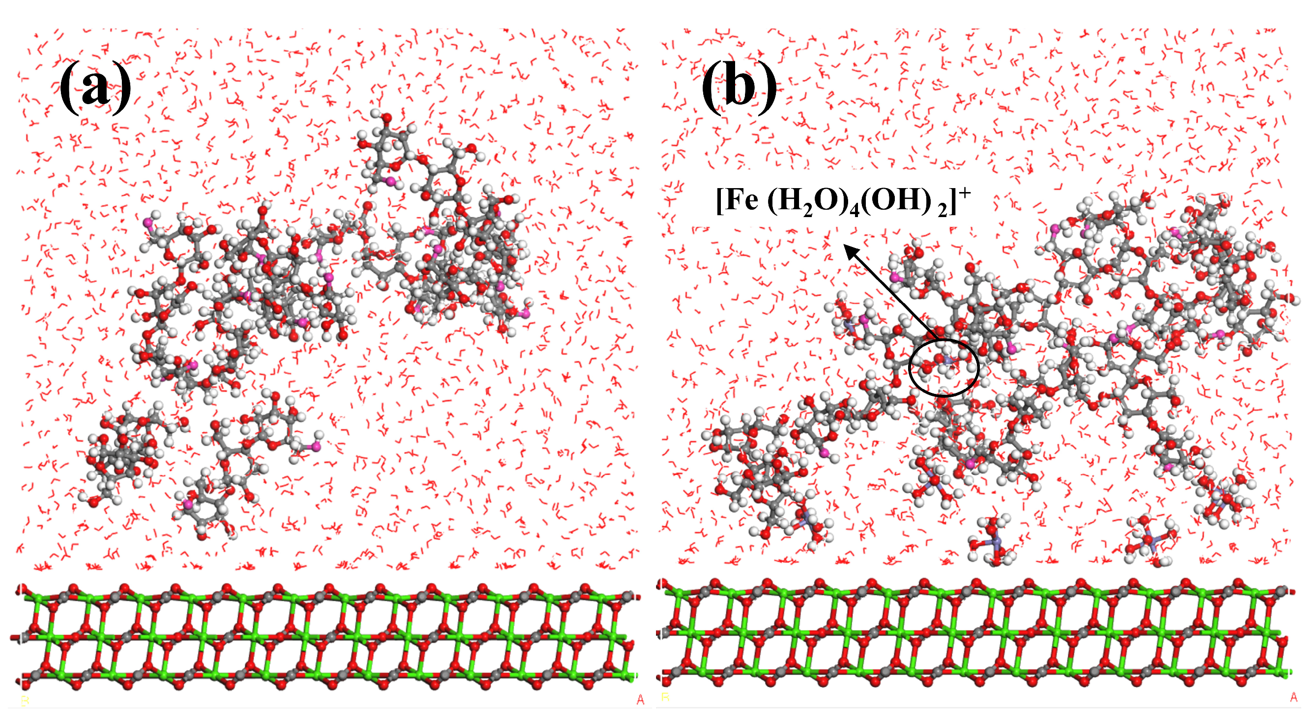 Molecules 29 04194 g012 Molecules 29 04194 g012