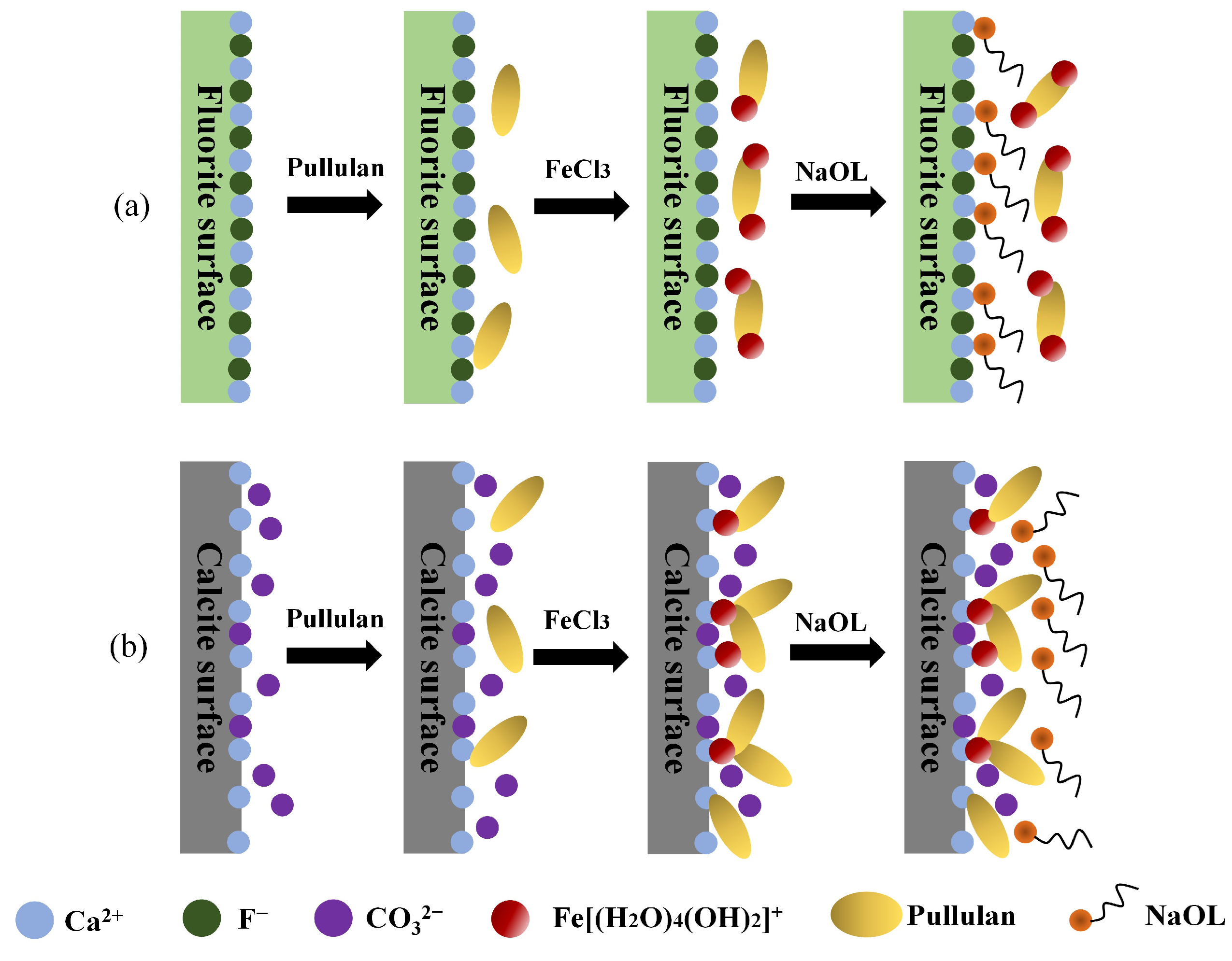 Molecules 29 04194 g014 Molecules 29 04194 g014