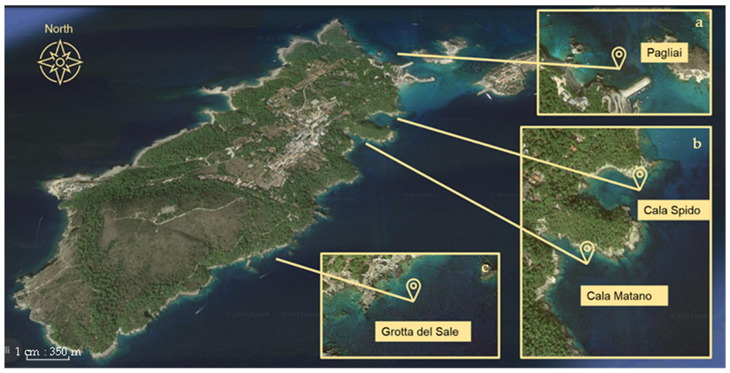 Molecules 29 04197 g004