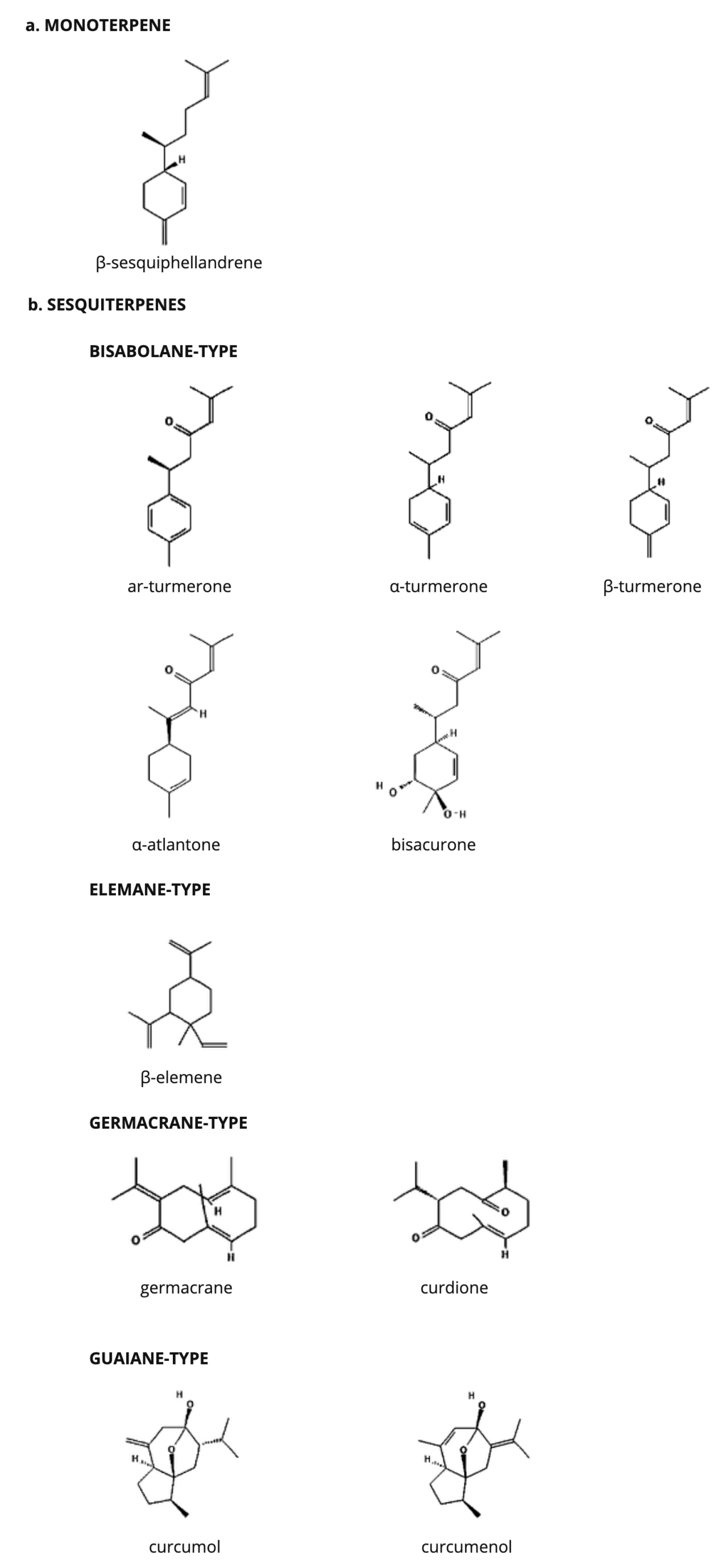 Molecules 29 04210 g001