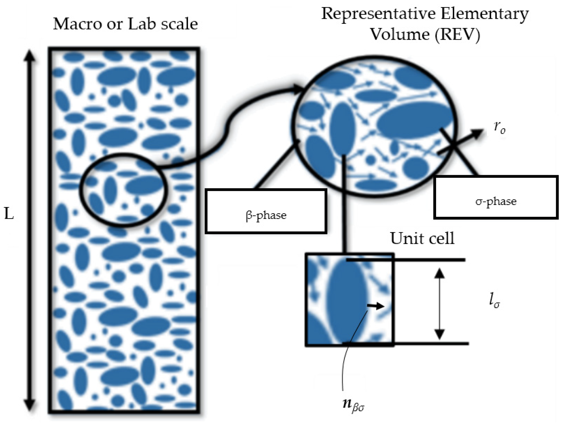 Molecules 29 04218 g001