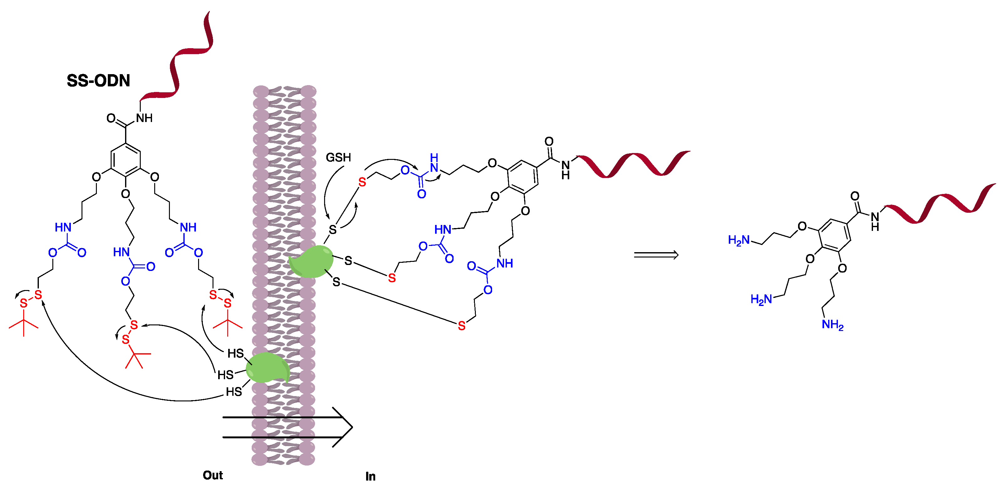 Molecules 29 04223 g001