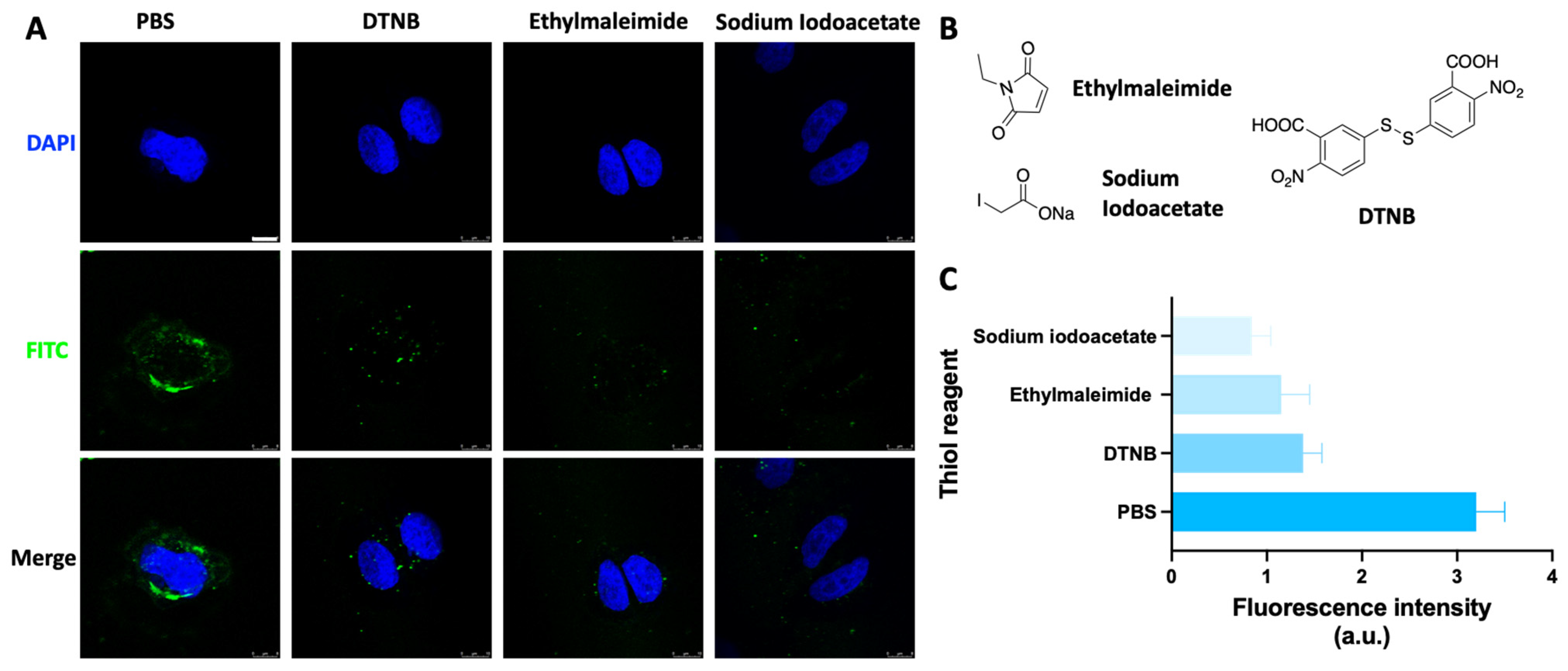 Molecules 29 04223 g006