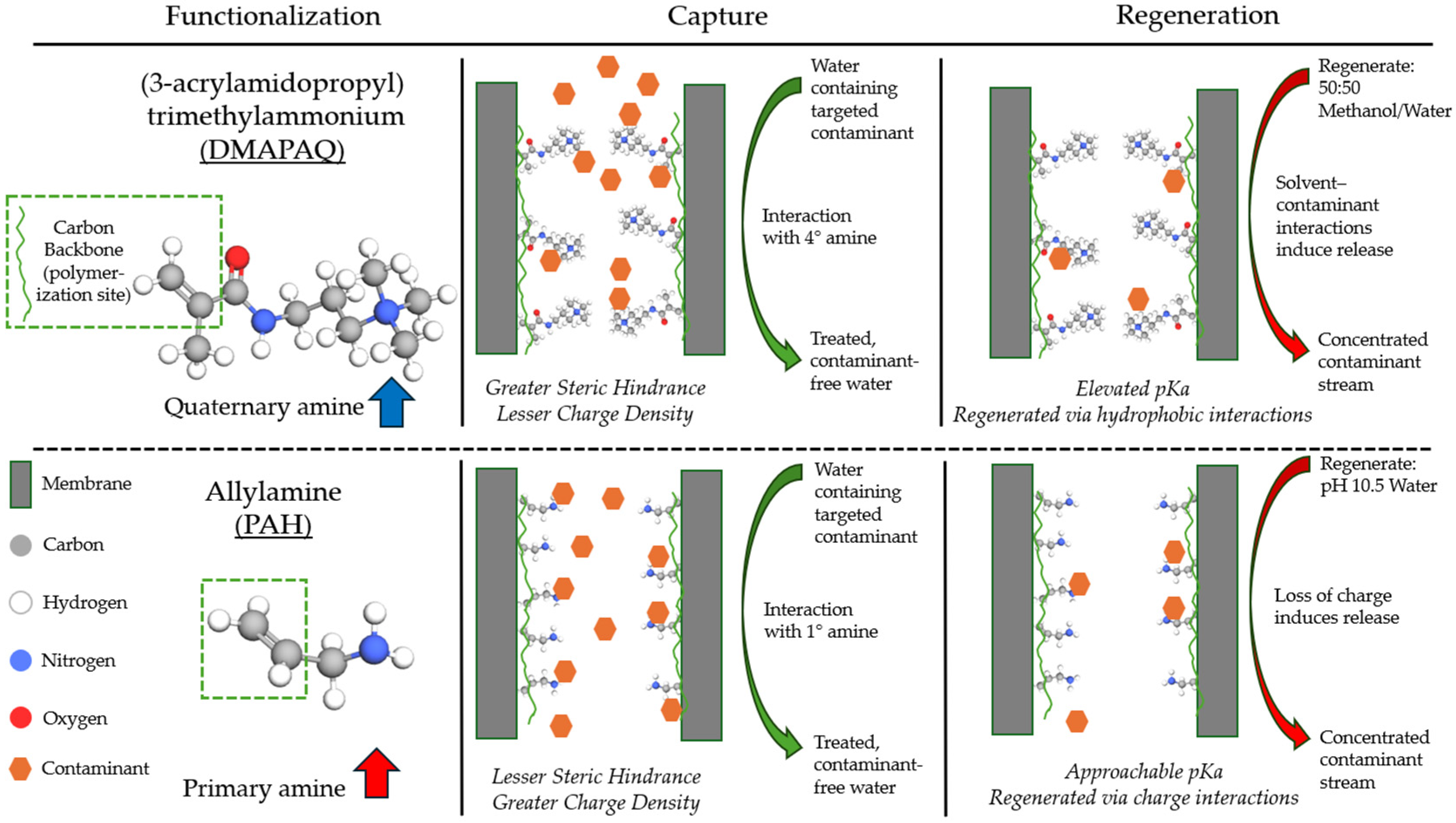 Molecules 29 04229 g001 Molecules 29 04229 g001