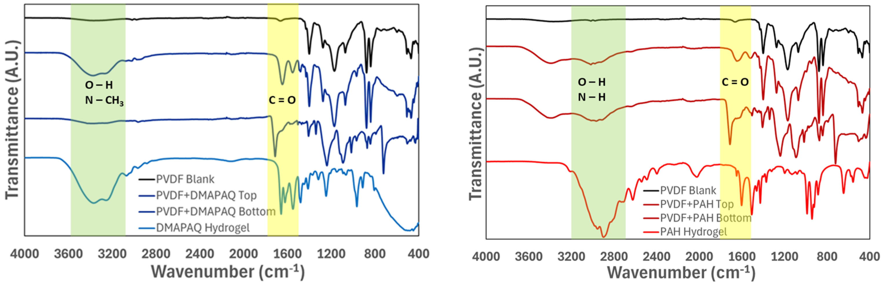 Molecules 29 04229 g002 Molecules 29 04229 g002