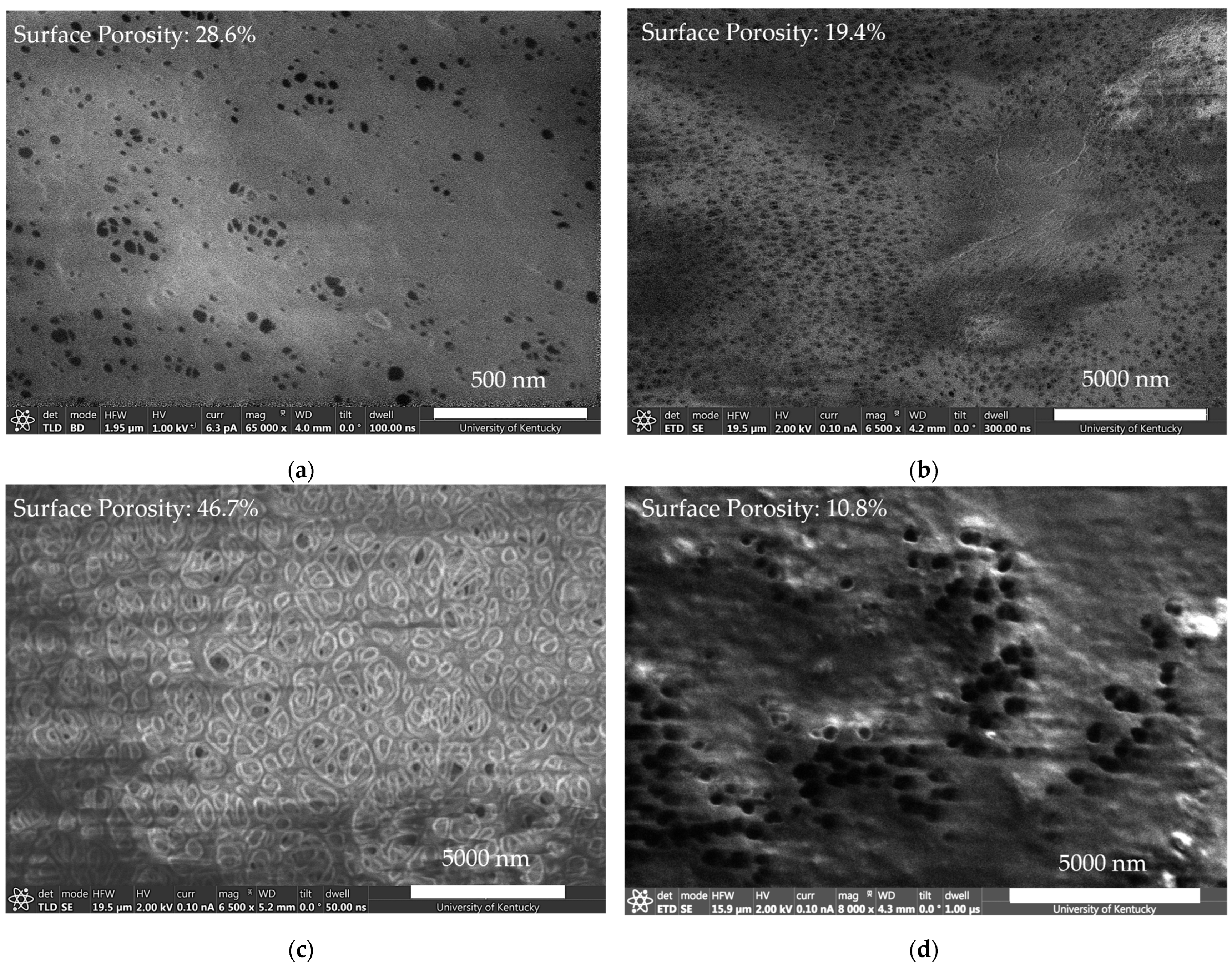 Molecules 29 04229 g003 Molecules 29 04229 g003