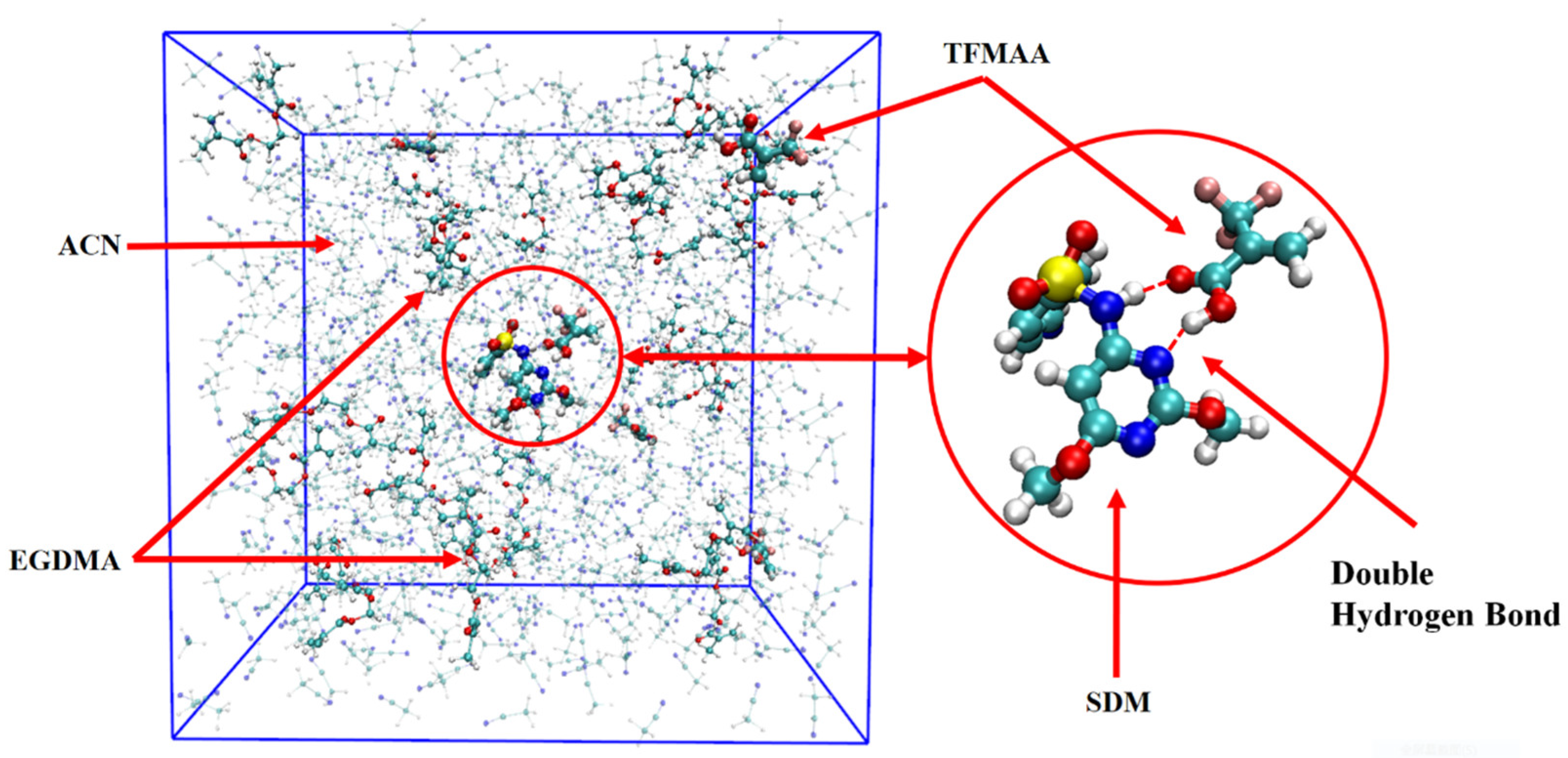 Molecules 29 04236 g001