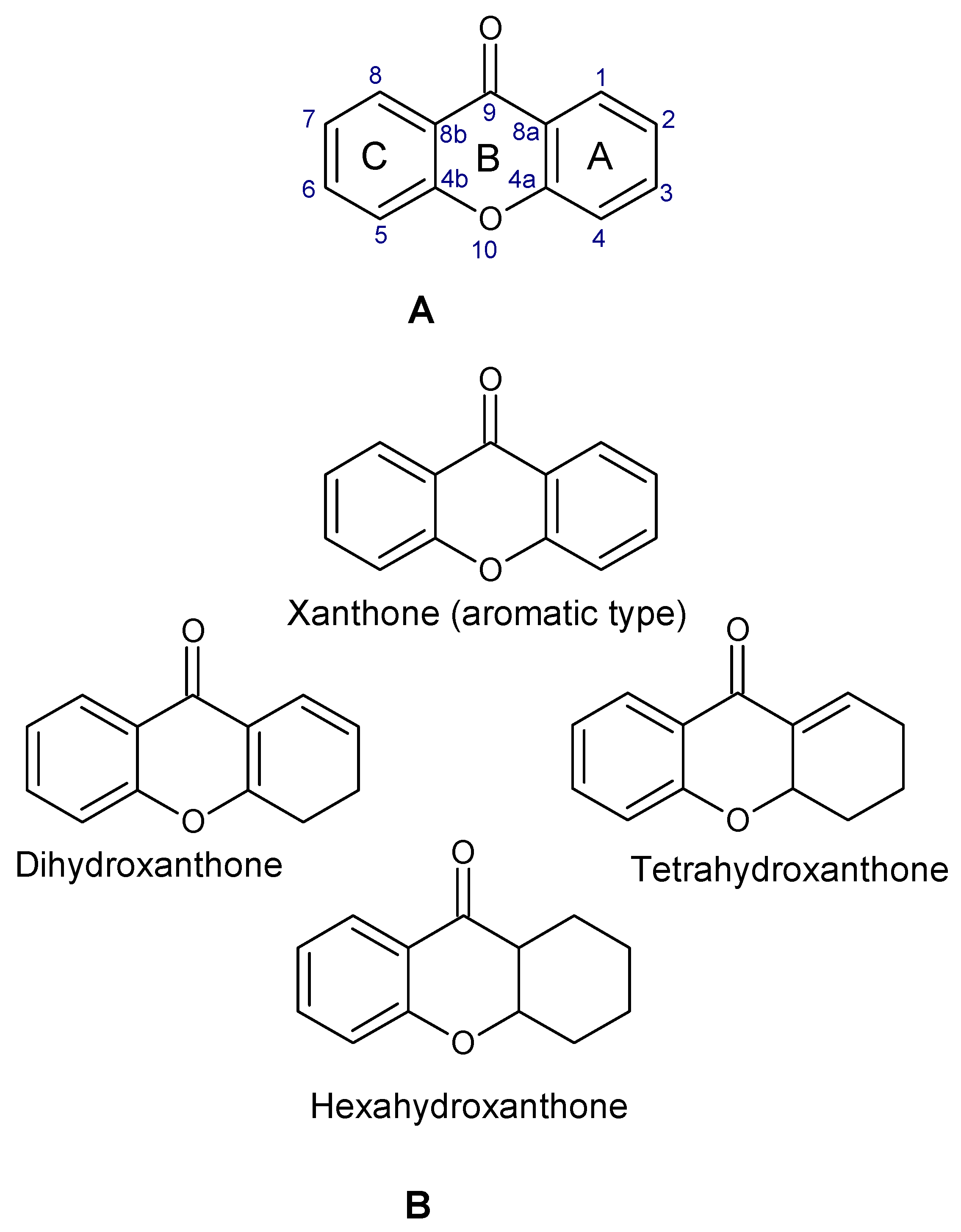 Molecules 29 04241 g001 Molecules 29 04241 g001