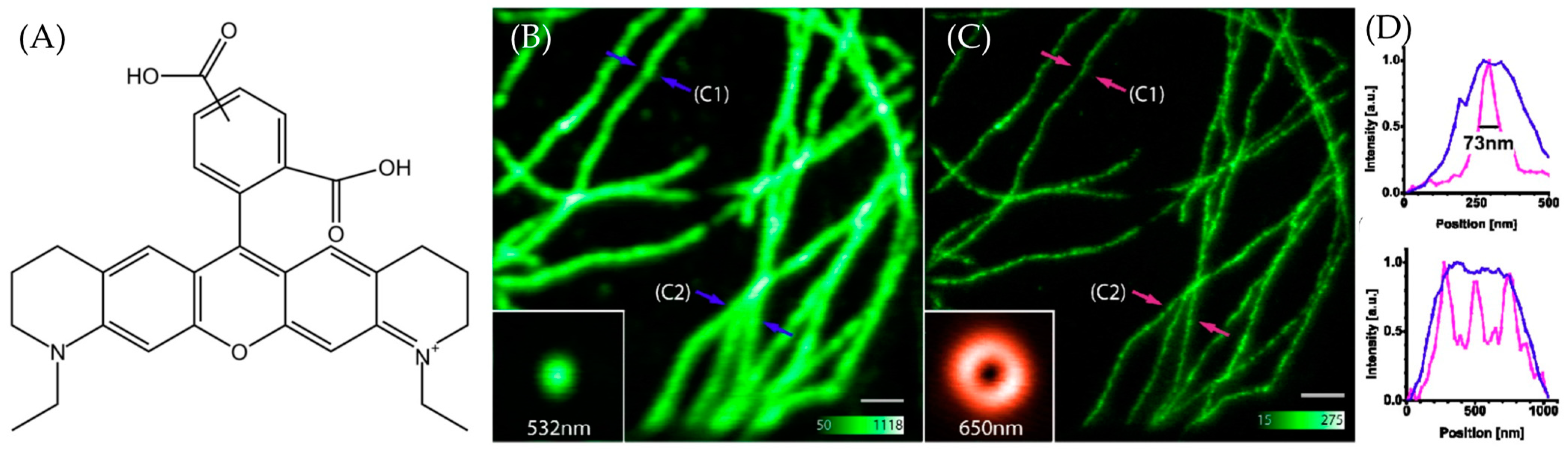 Molecules 29 04243 g001