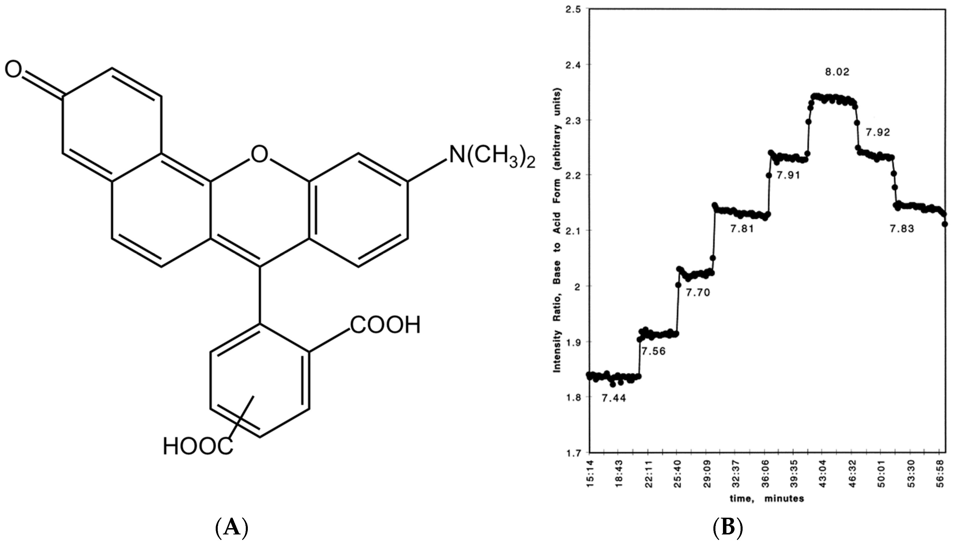 Molecules 29 04243 g004