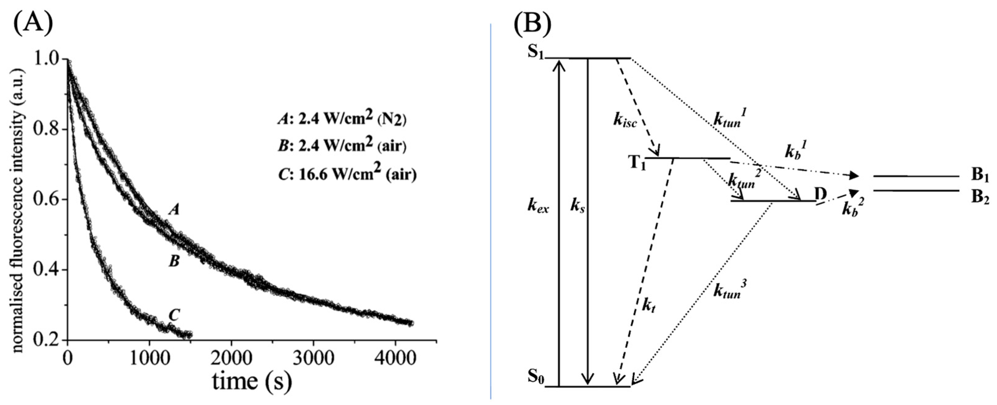 Molecules 29 04243 g012