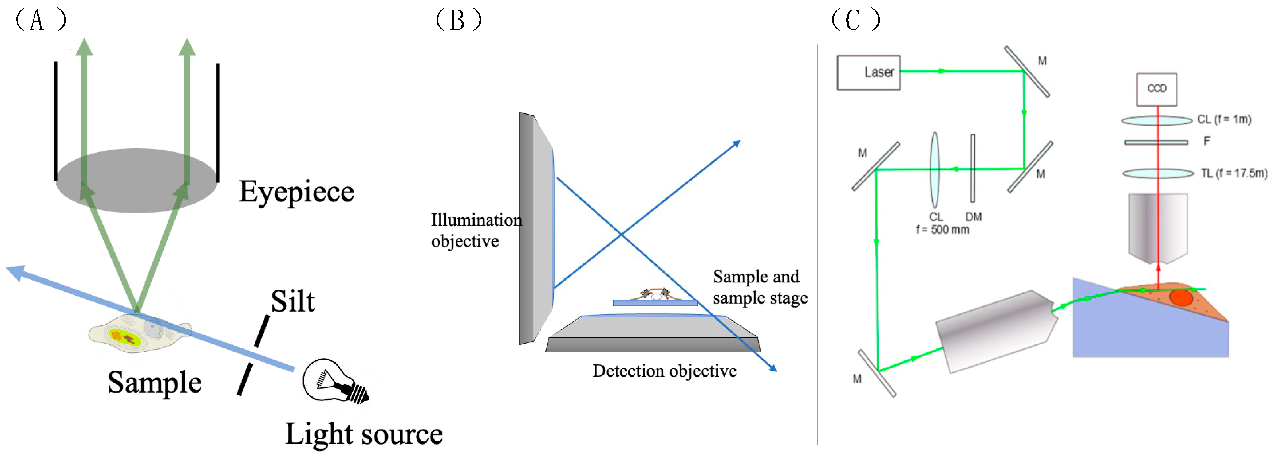Molecules 29 04243 g028