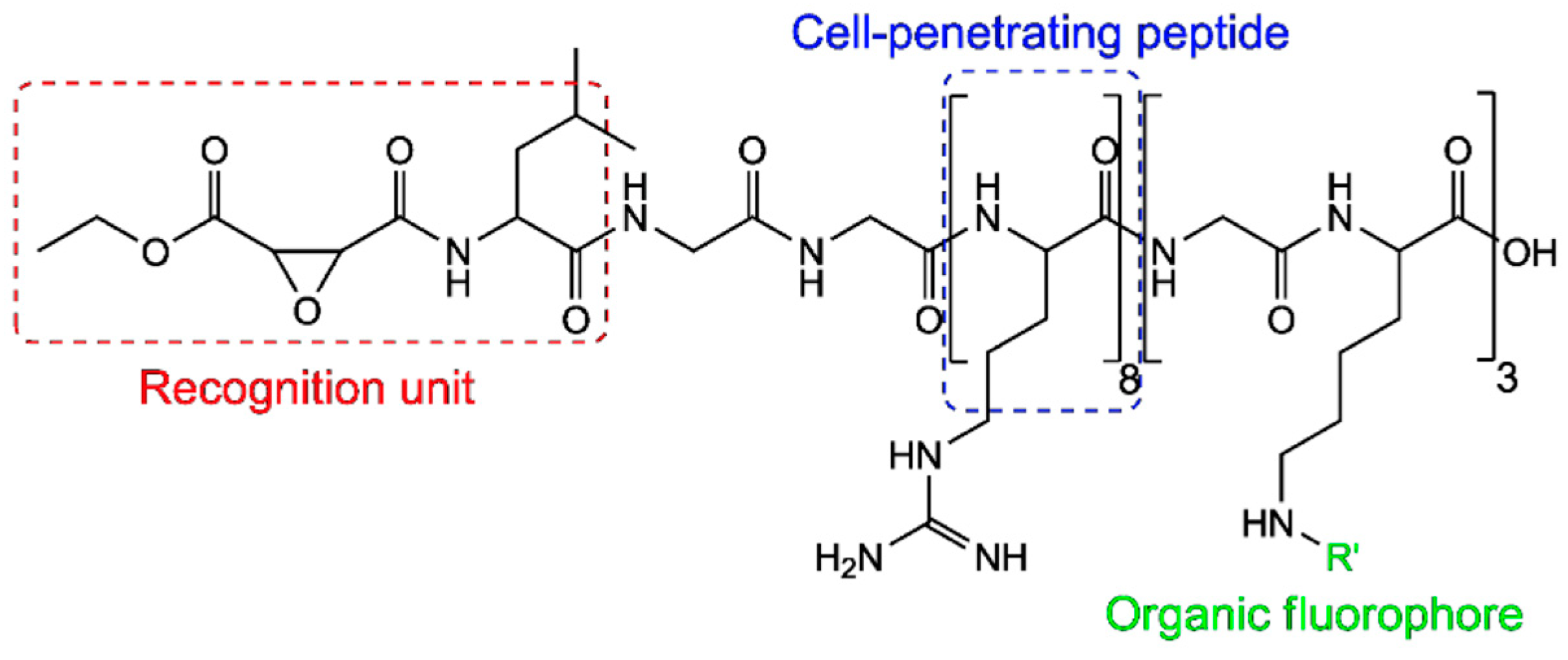 Molecules 29 04243 g032