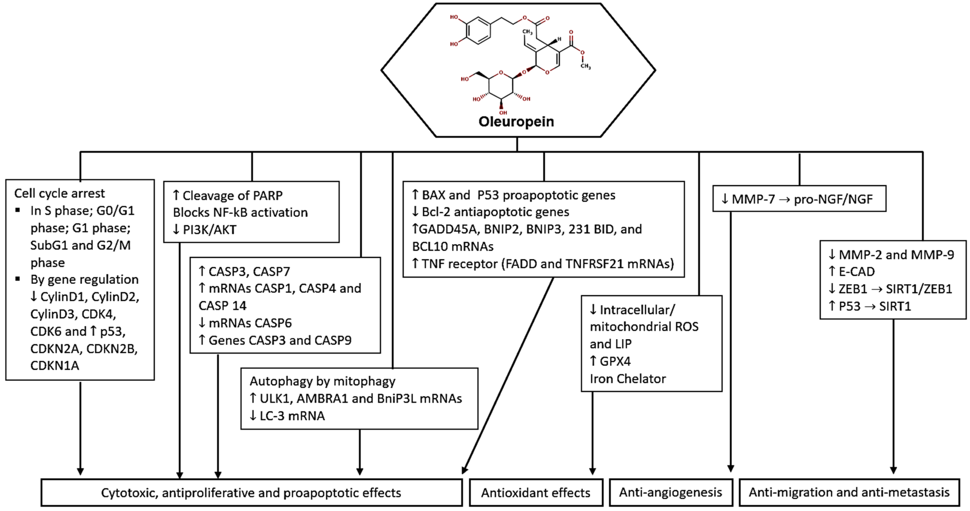 Molecules 29 04249 g002