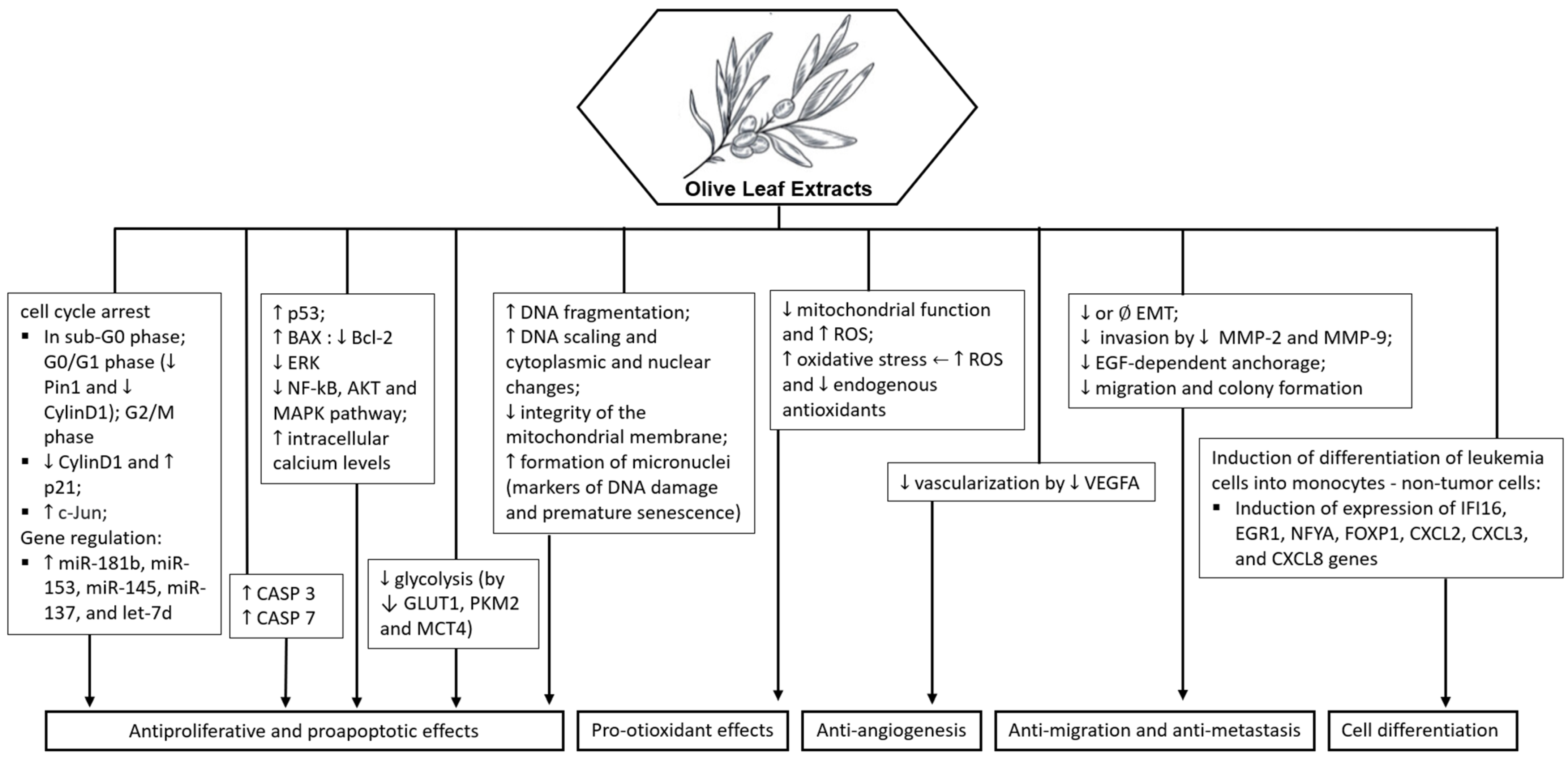 Molecules 29 04249 g004